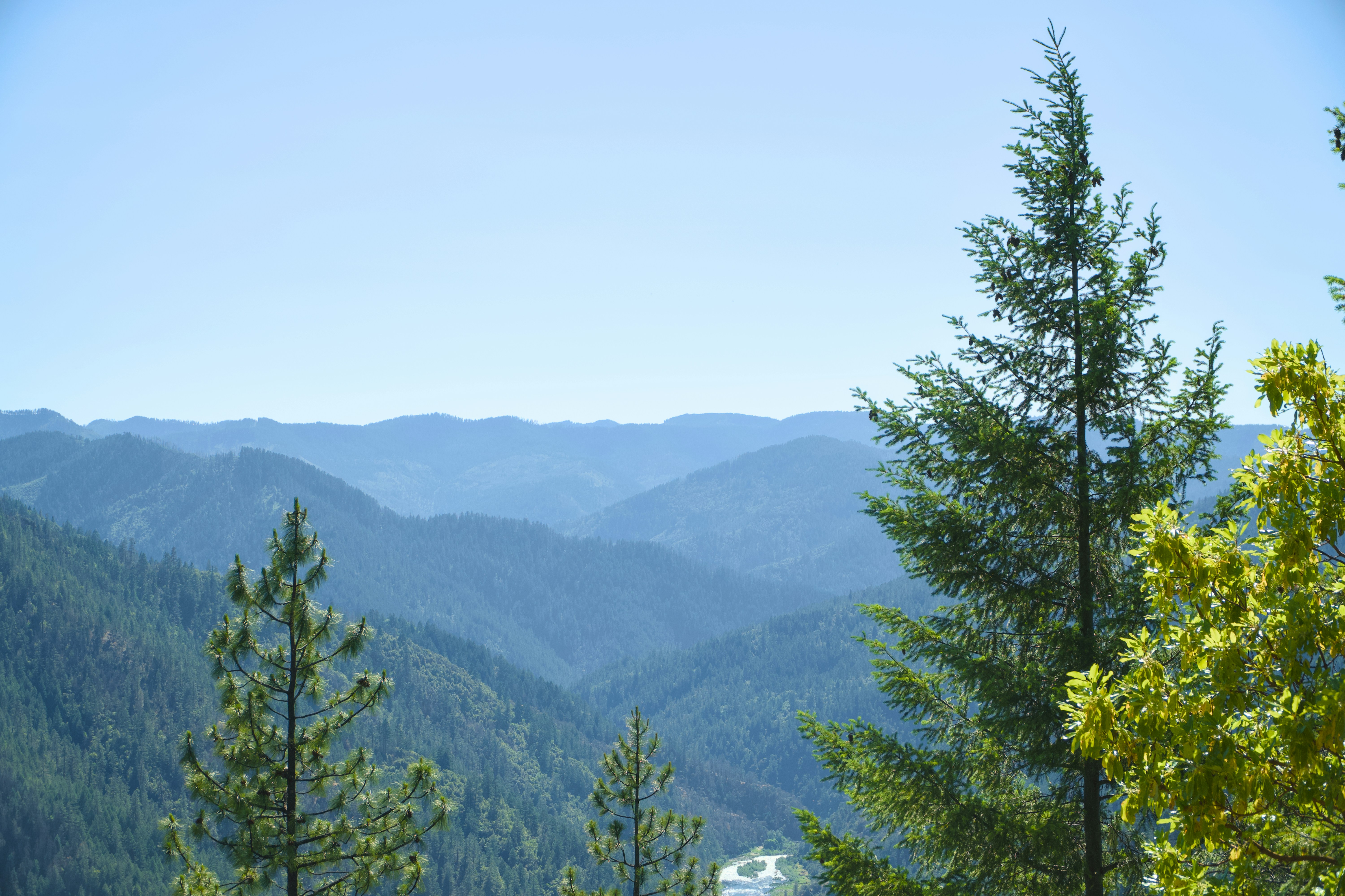 Photo by spencer_demera