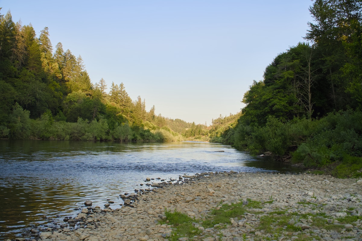 The Metolius River flowing through lush green forest near Sisters, Oregon