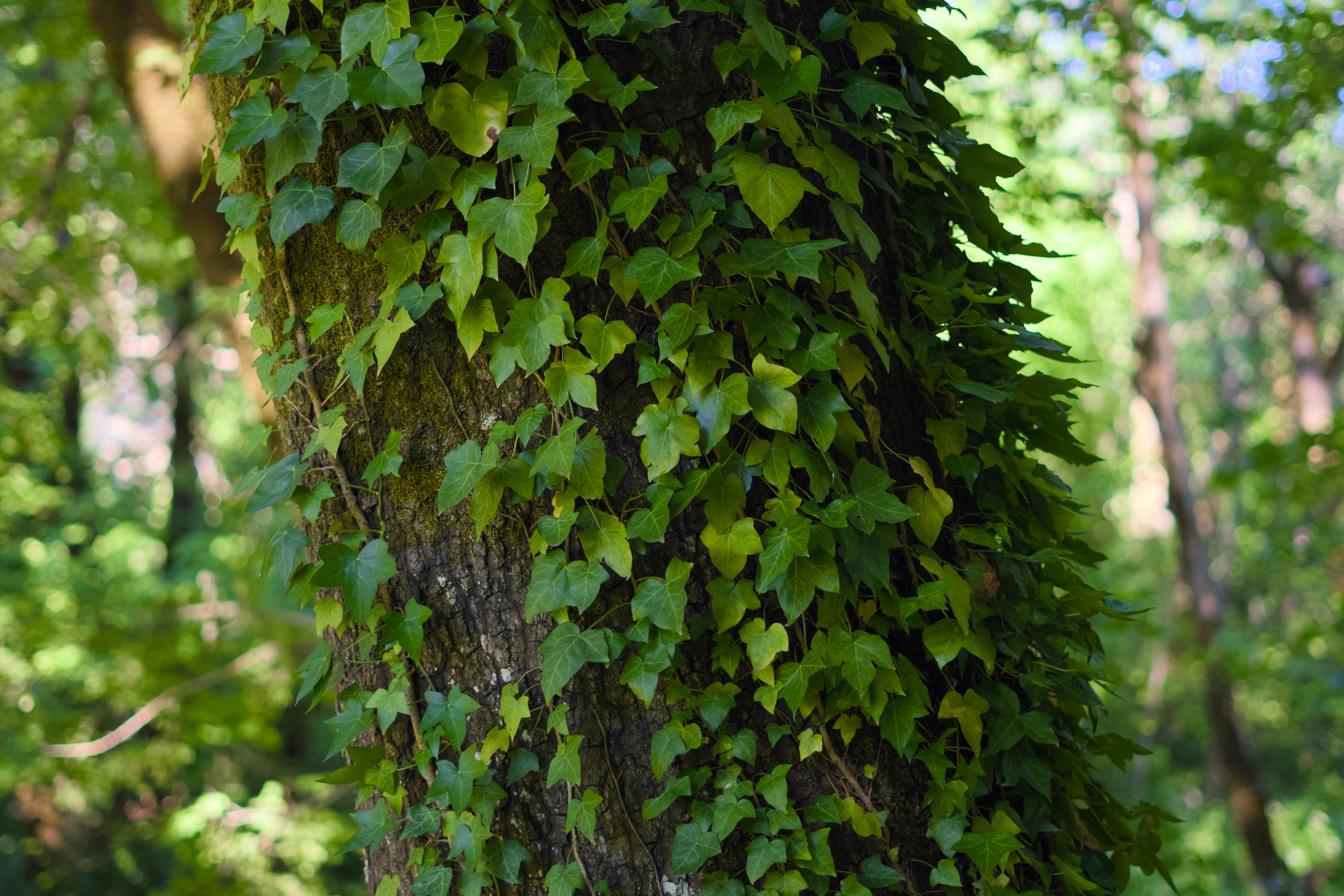 Photo by spencer_demera