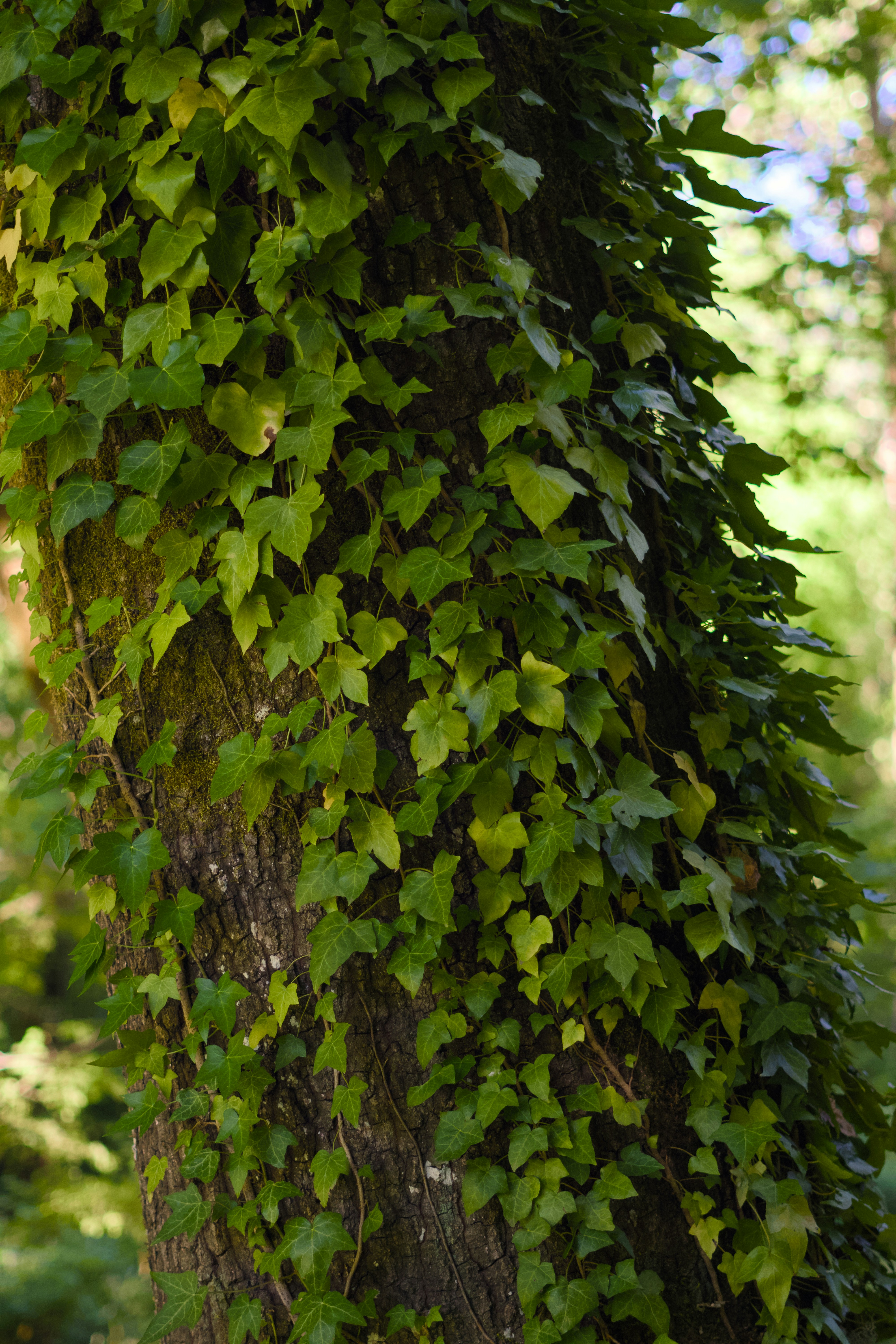 Photo by spencer_demera