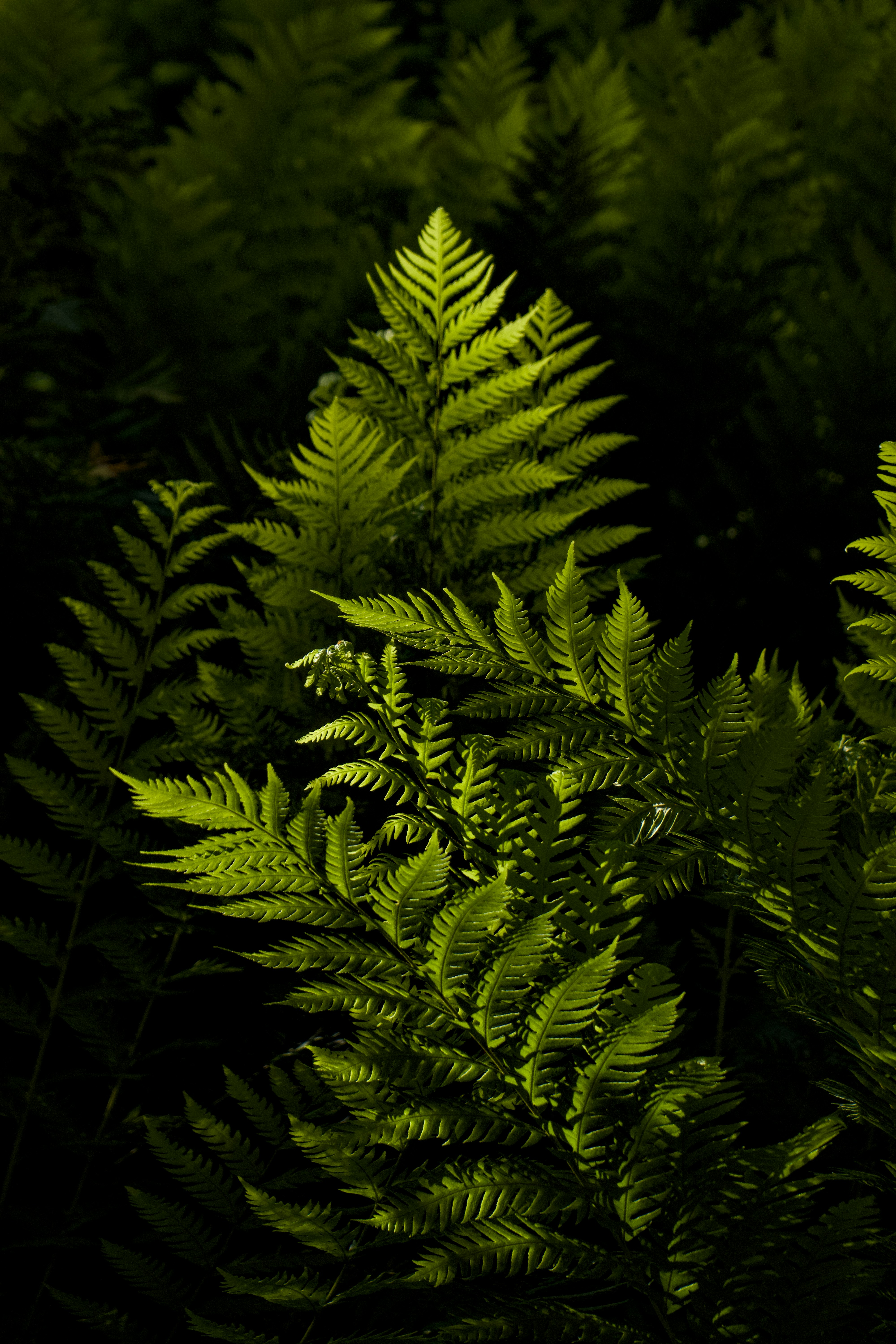 Photo by spencer_demera