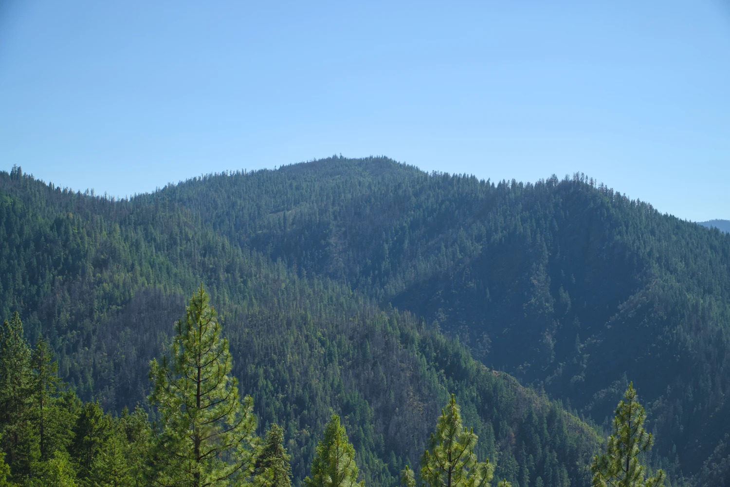 Forested Southern Oregon landscape