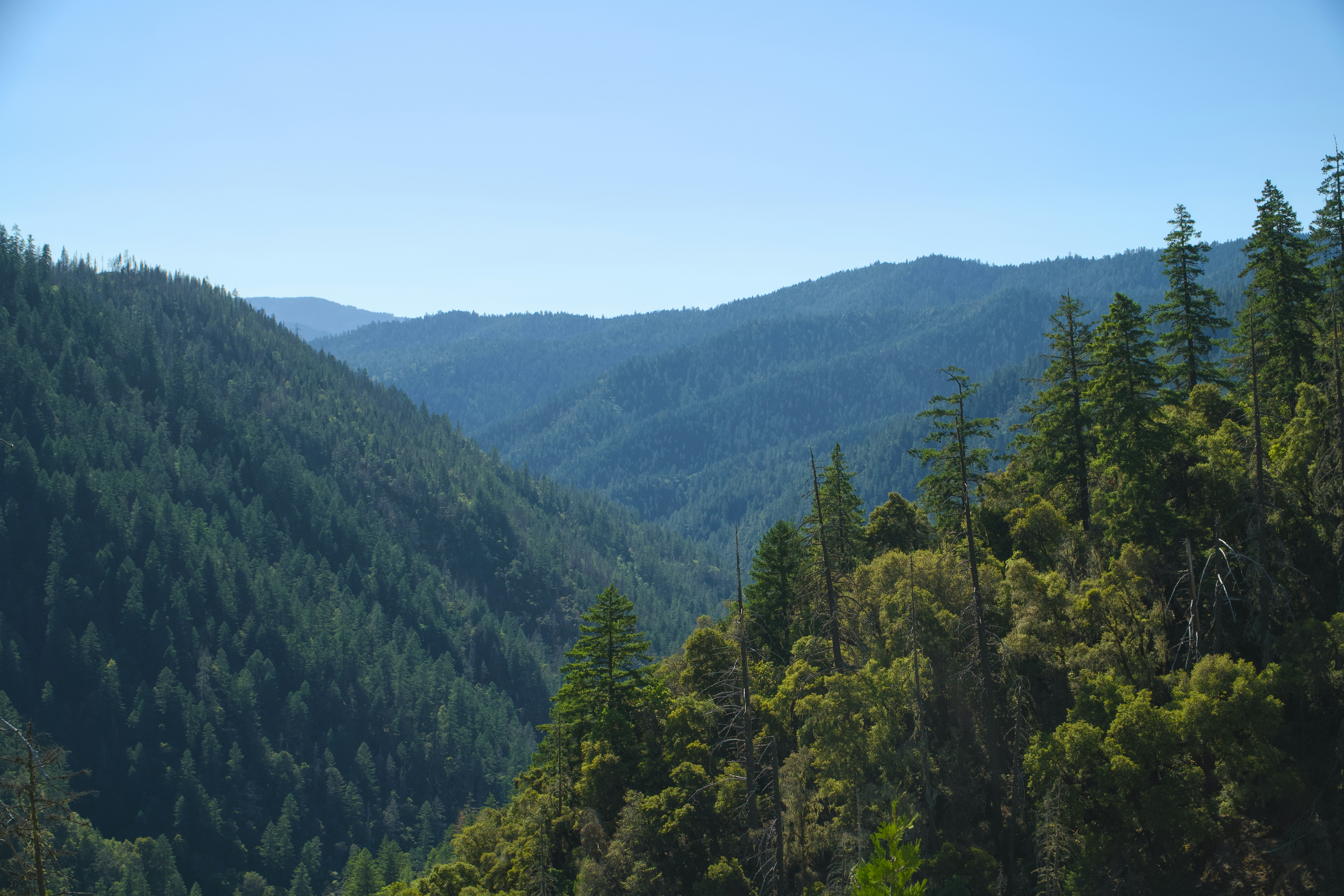 Photo by spencer_demera