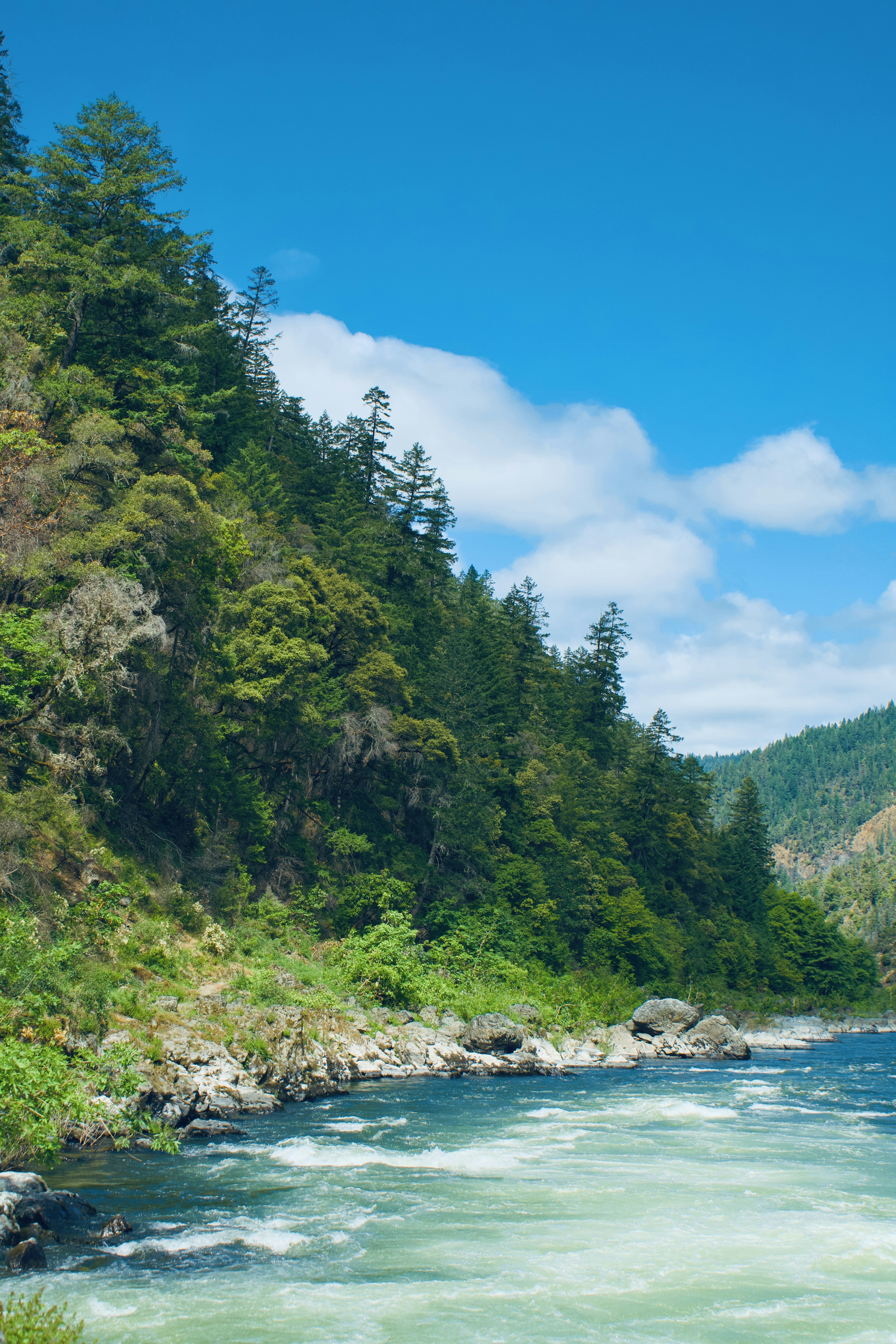 Photo by spencer_demera