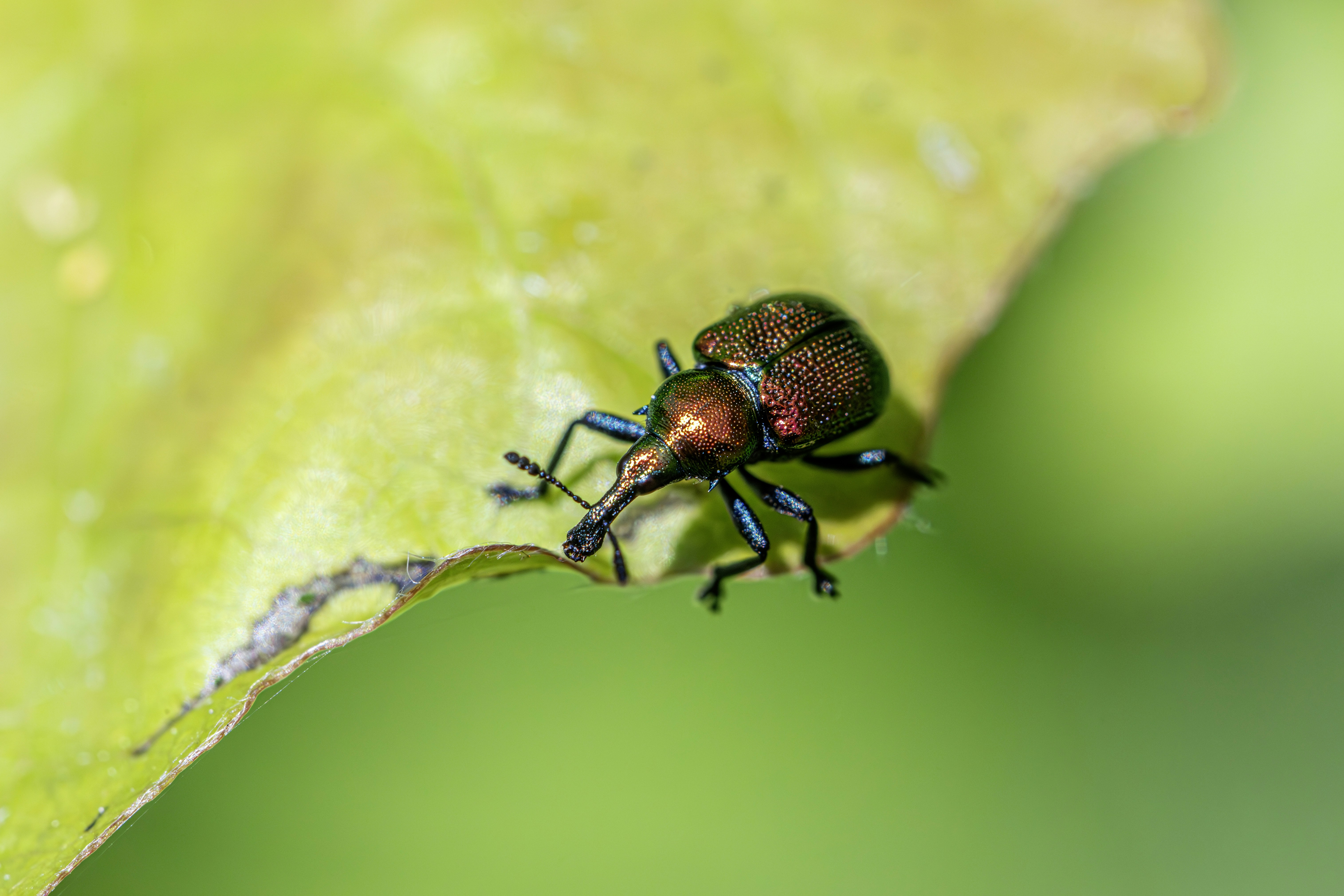 Photo by erik_karits