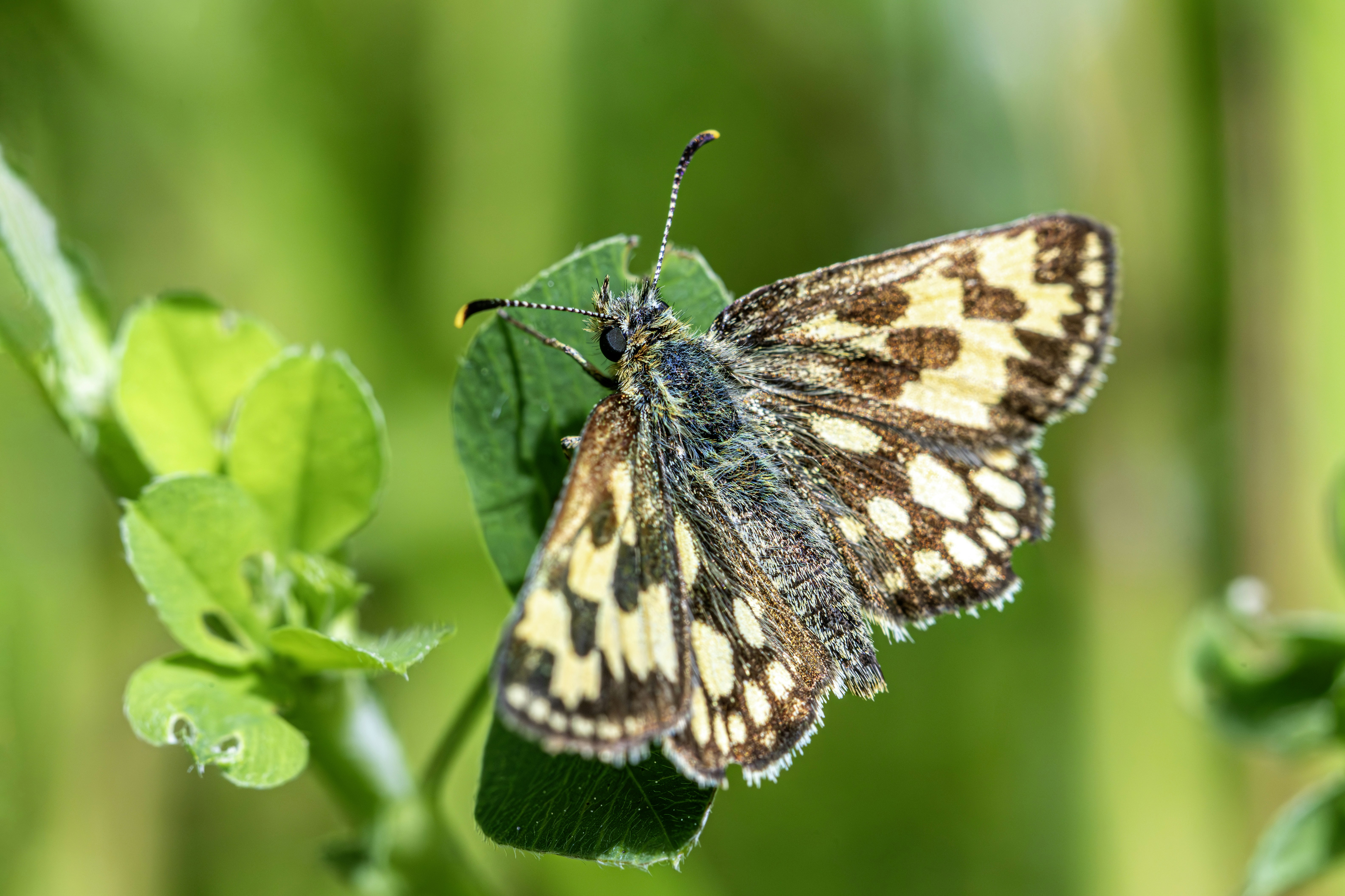 Photo by erik_karits