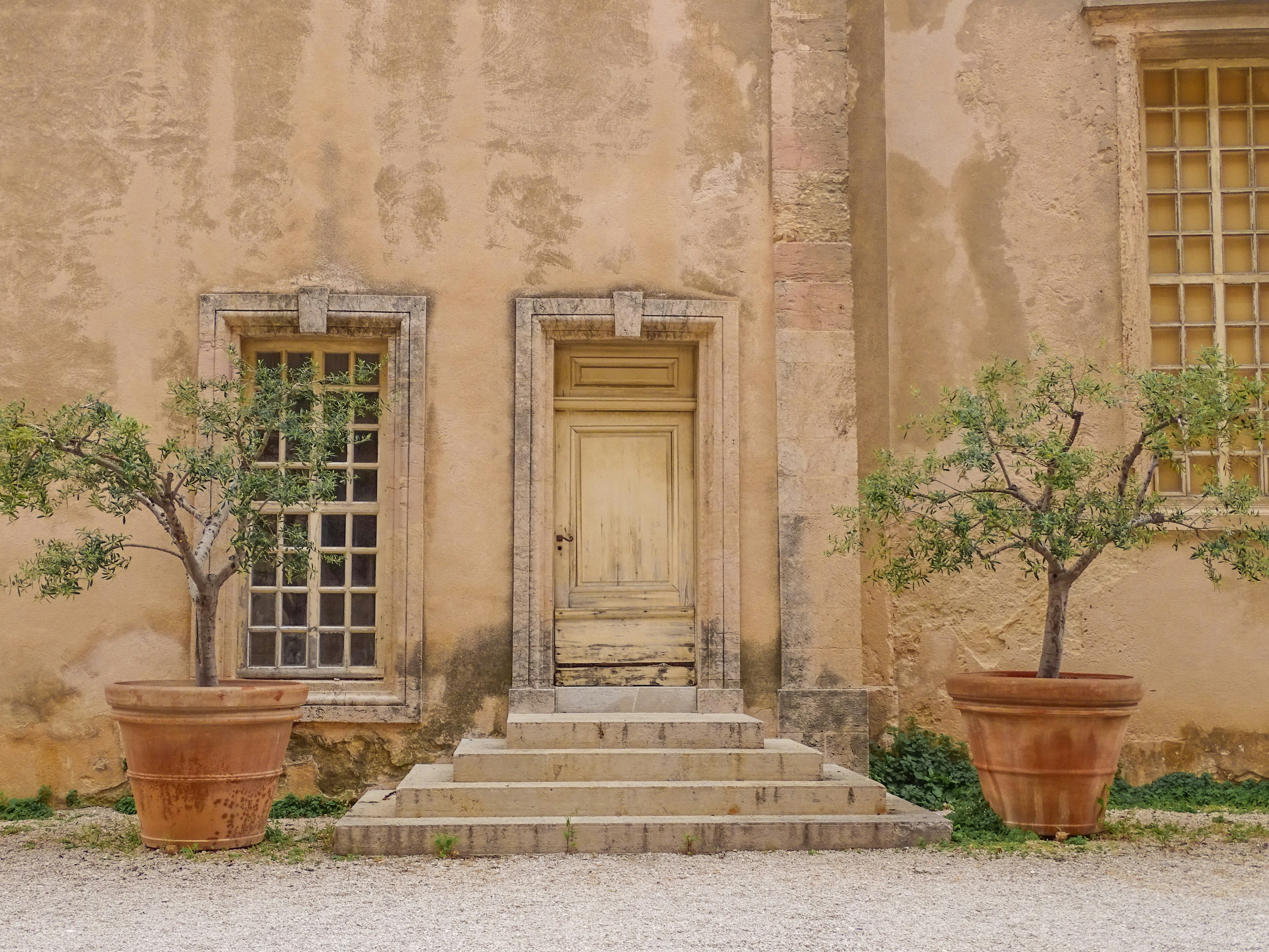 An old, weathered building with potted trees.
