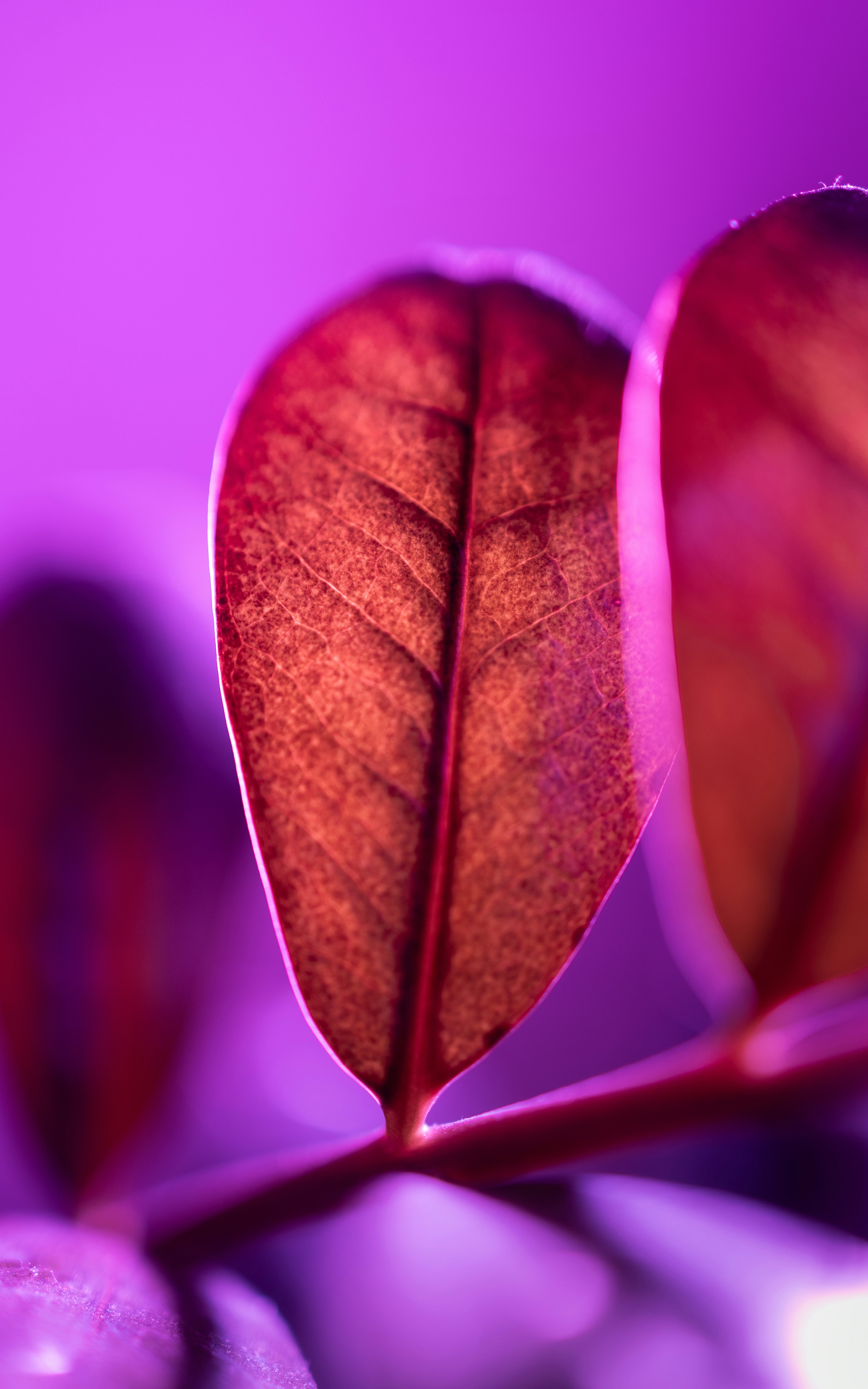 Photo by marekpiwnicki