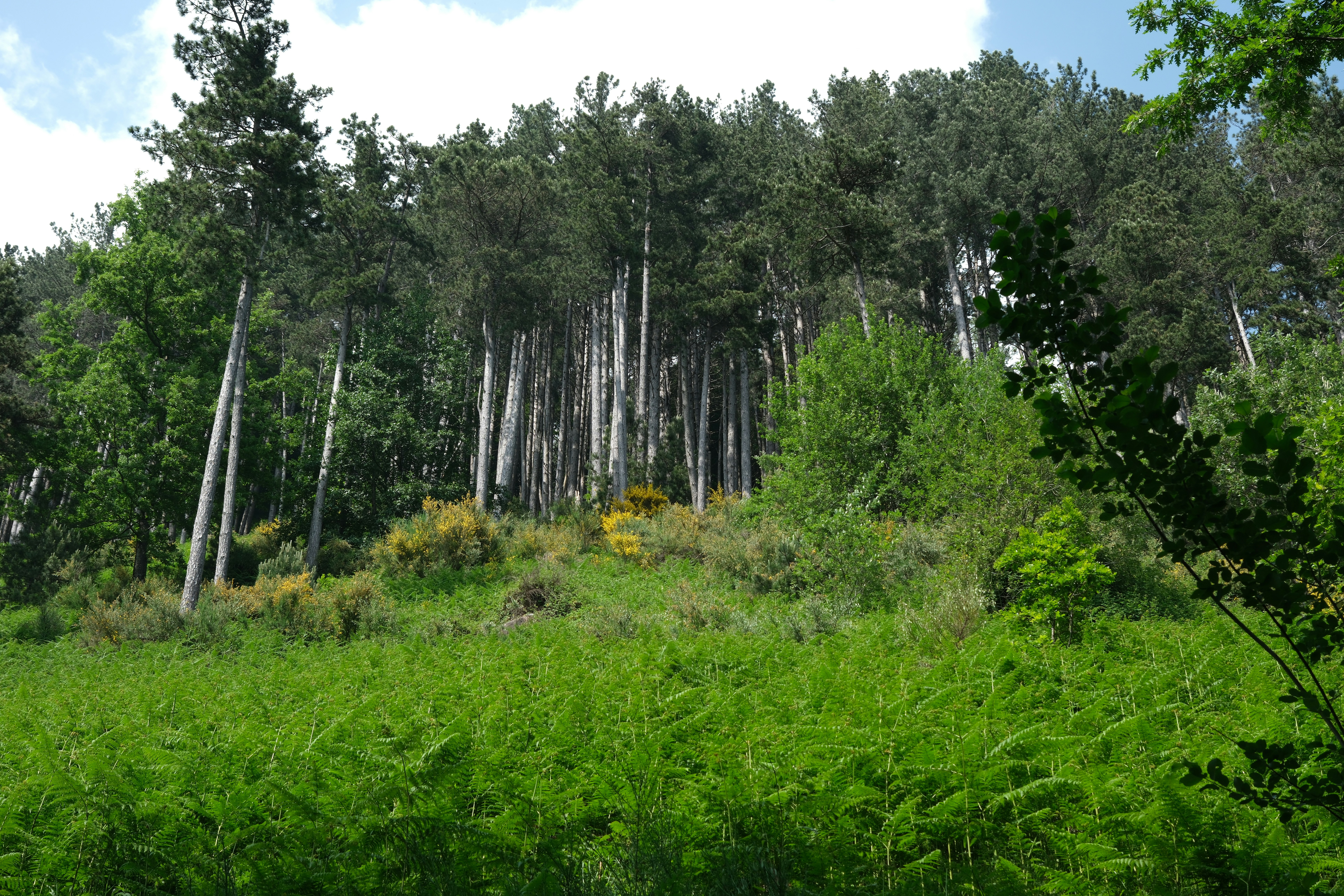 Photo by worldchris75