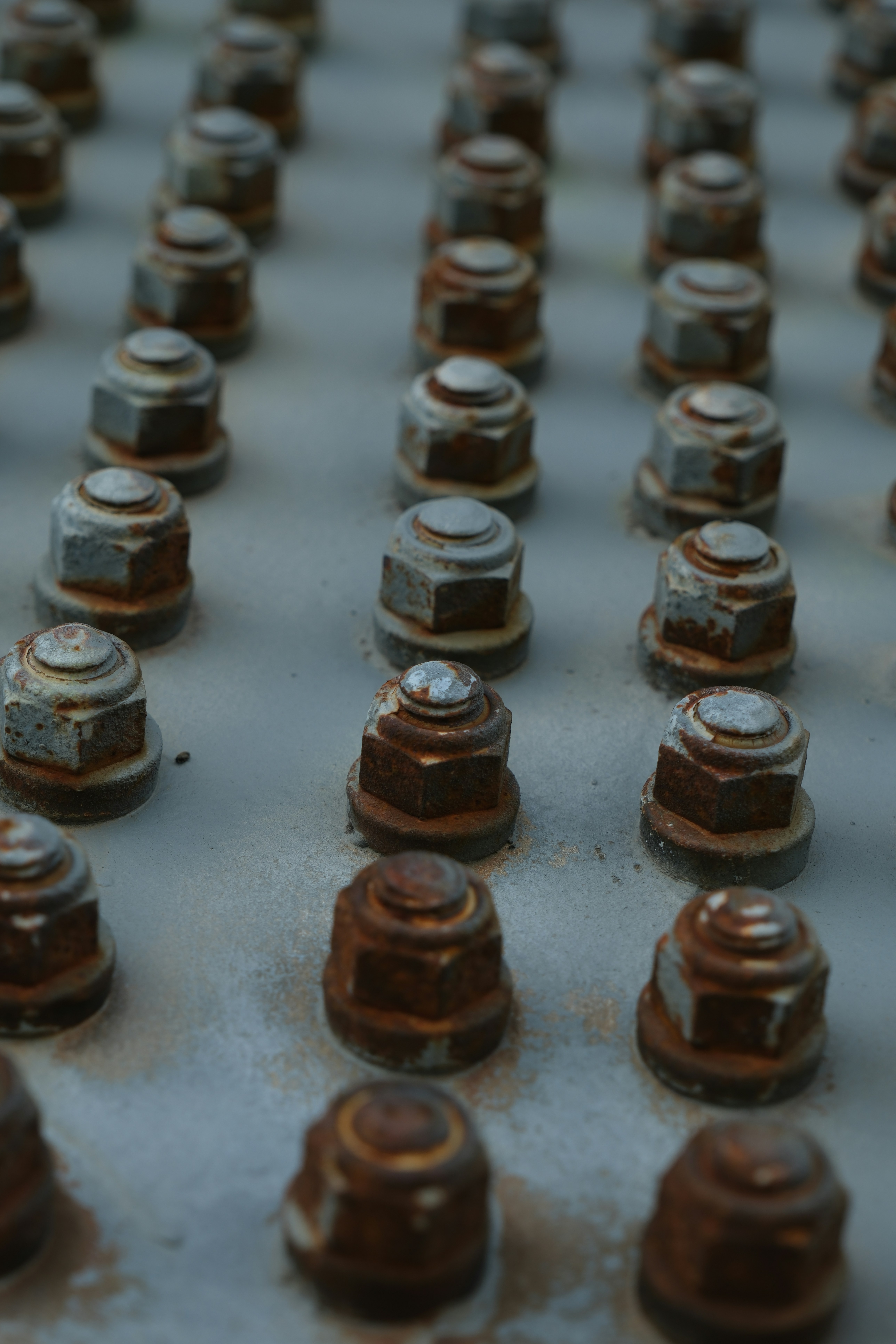 Photo by worldchris75