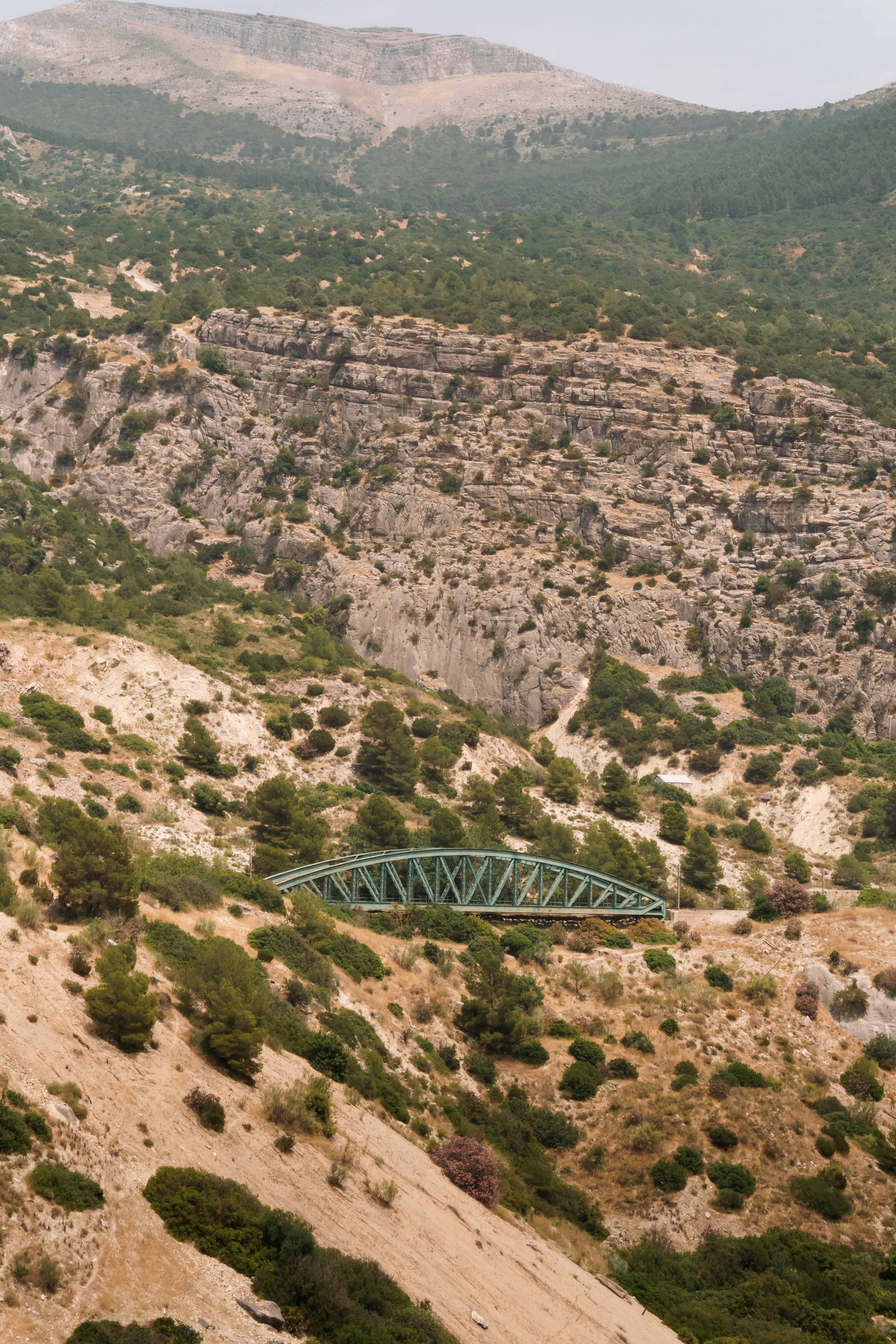 山岳地帯の谷には橋が架かっています。