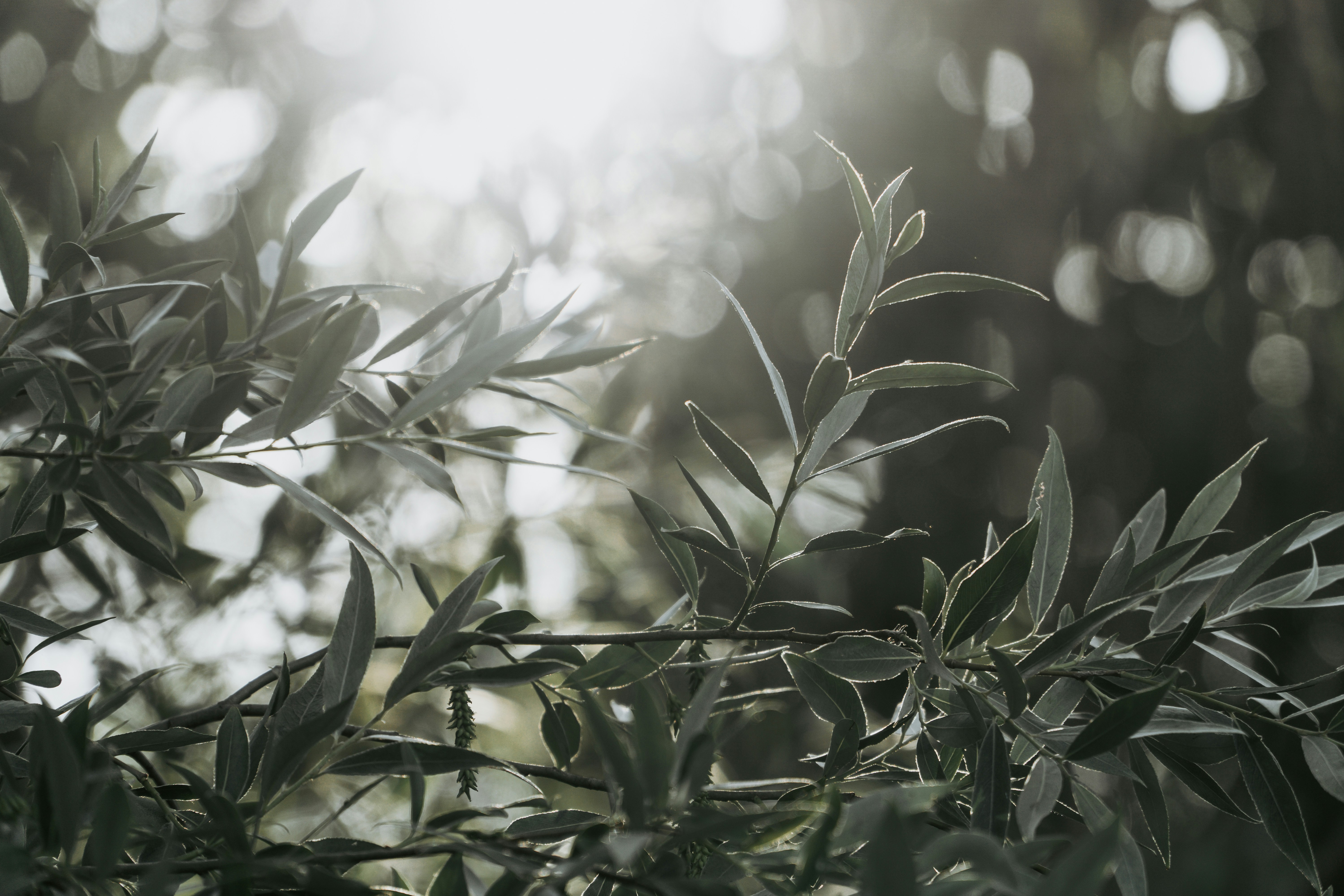 Photo by annaspoljar