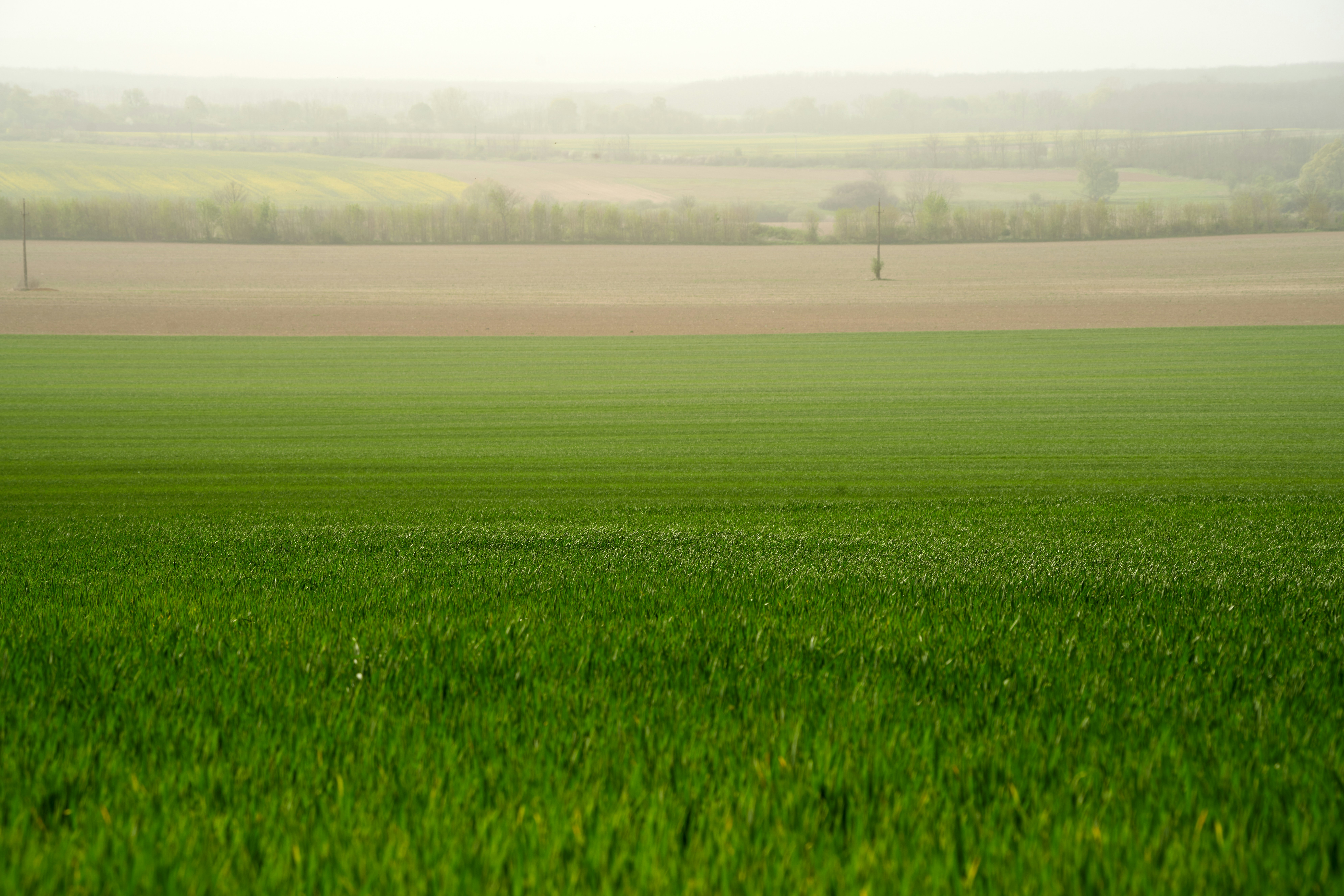 Photo by davotibarna