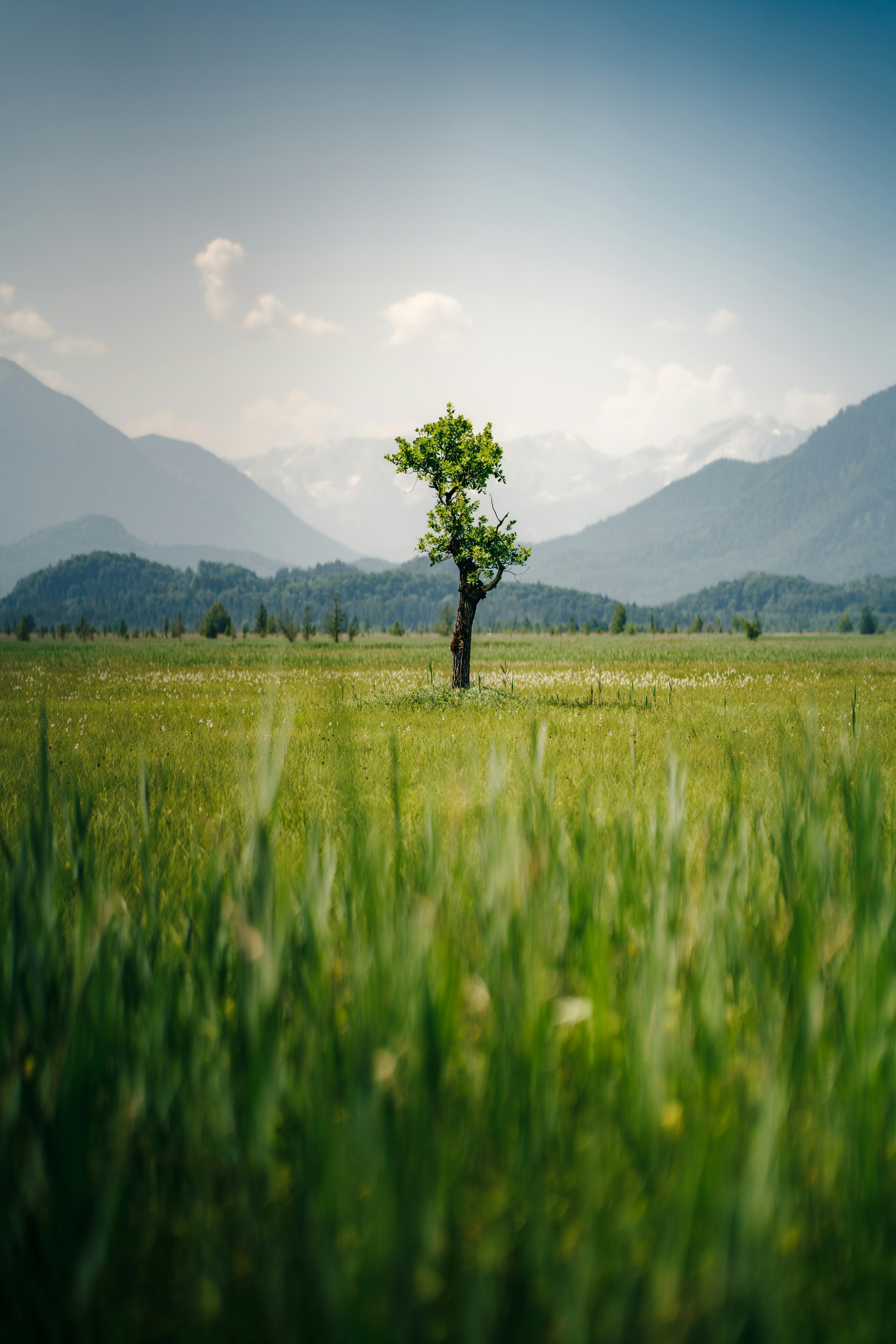 Photo by danielsessler