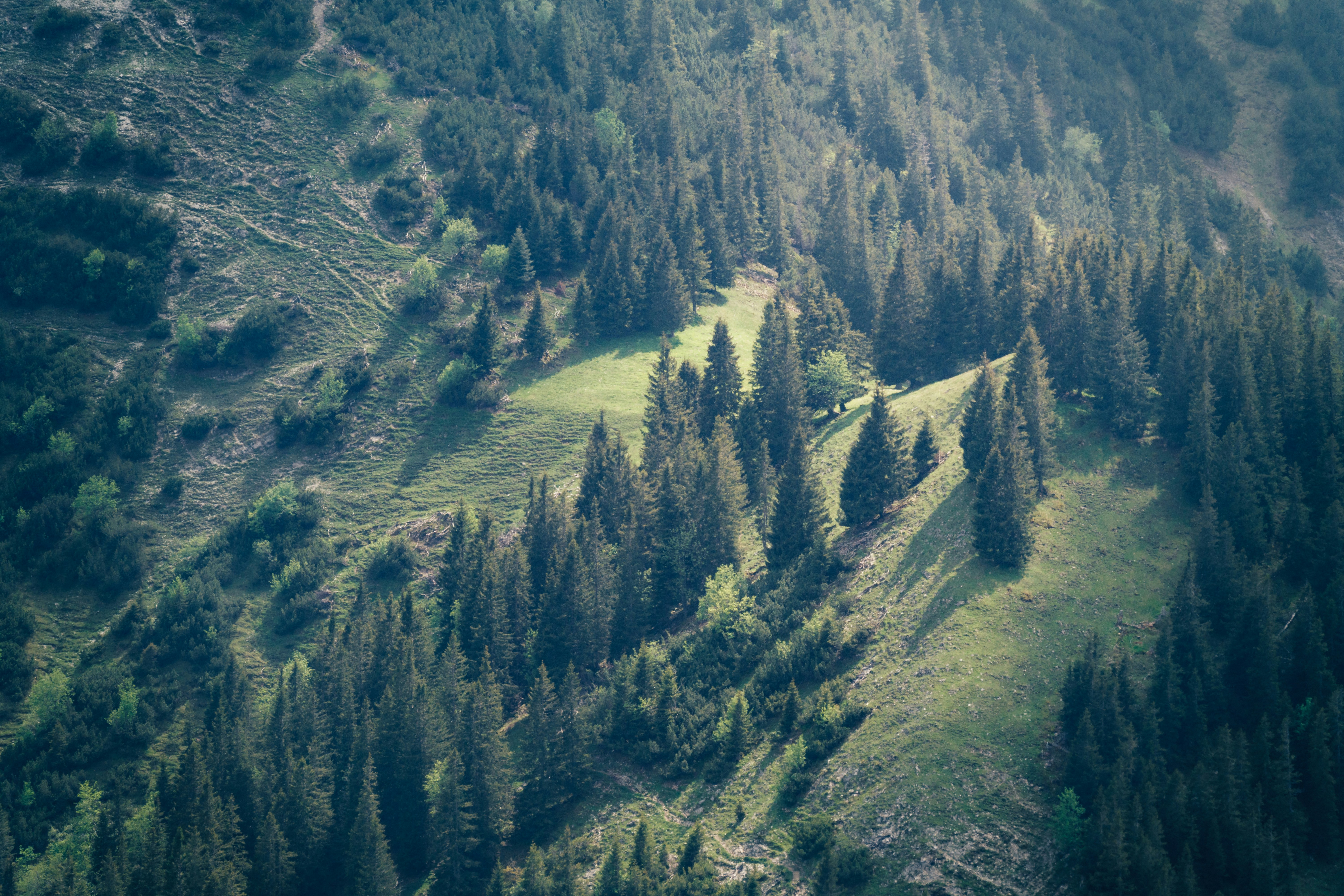 Photo by danielsessler