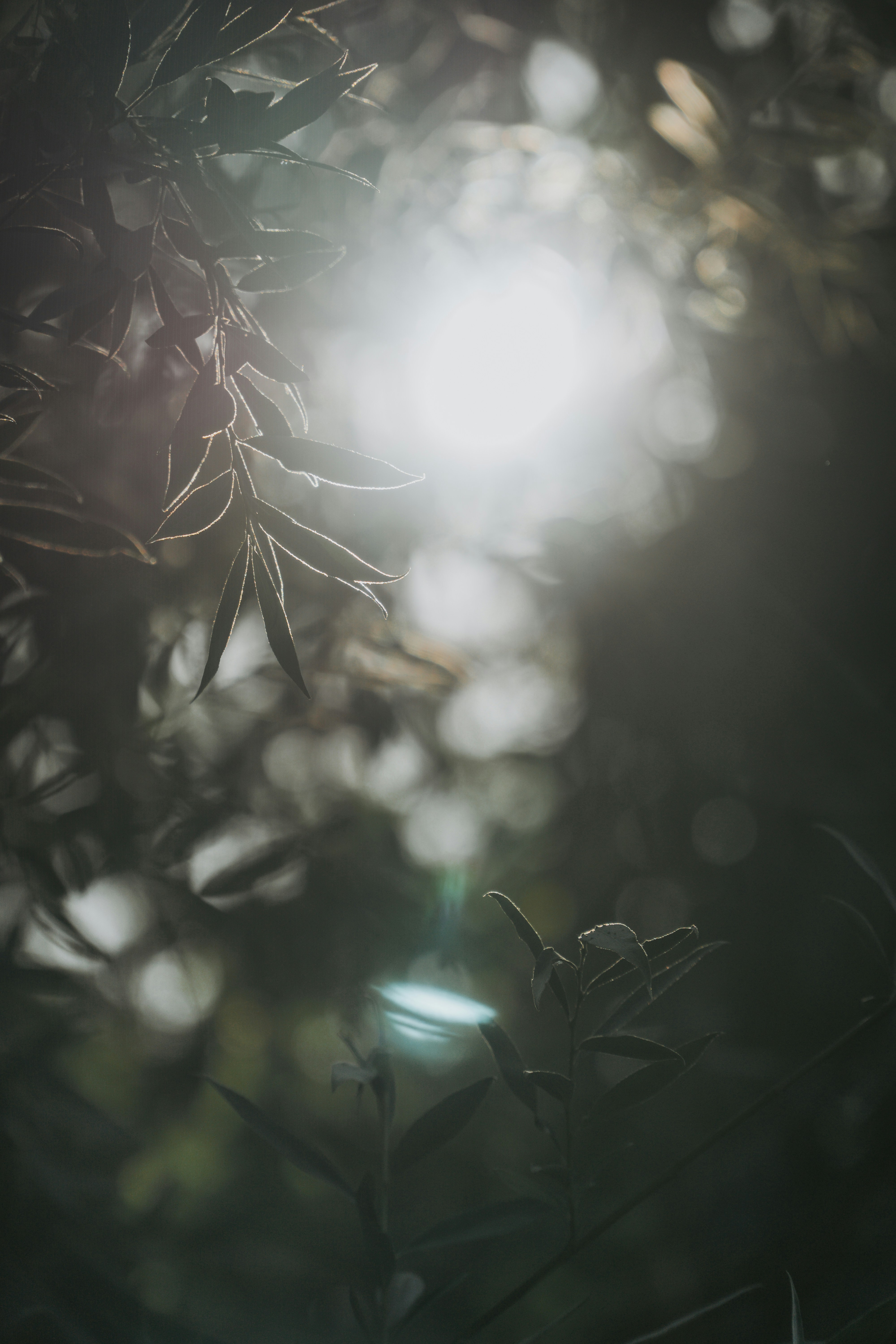 Photo by annaspoljar