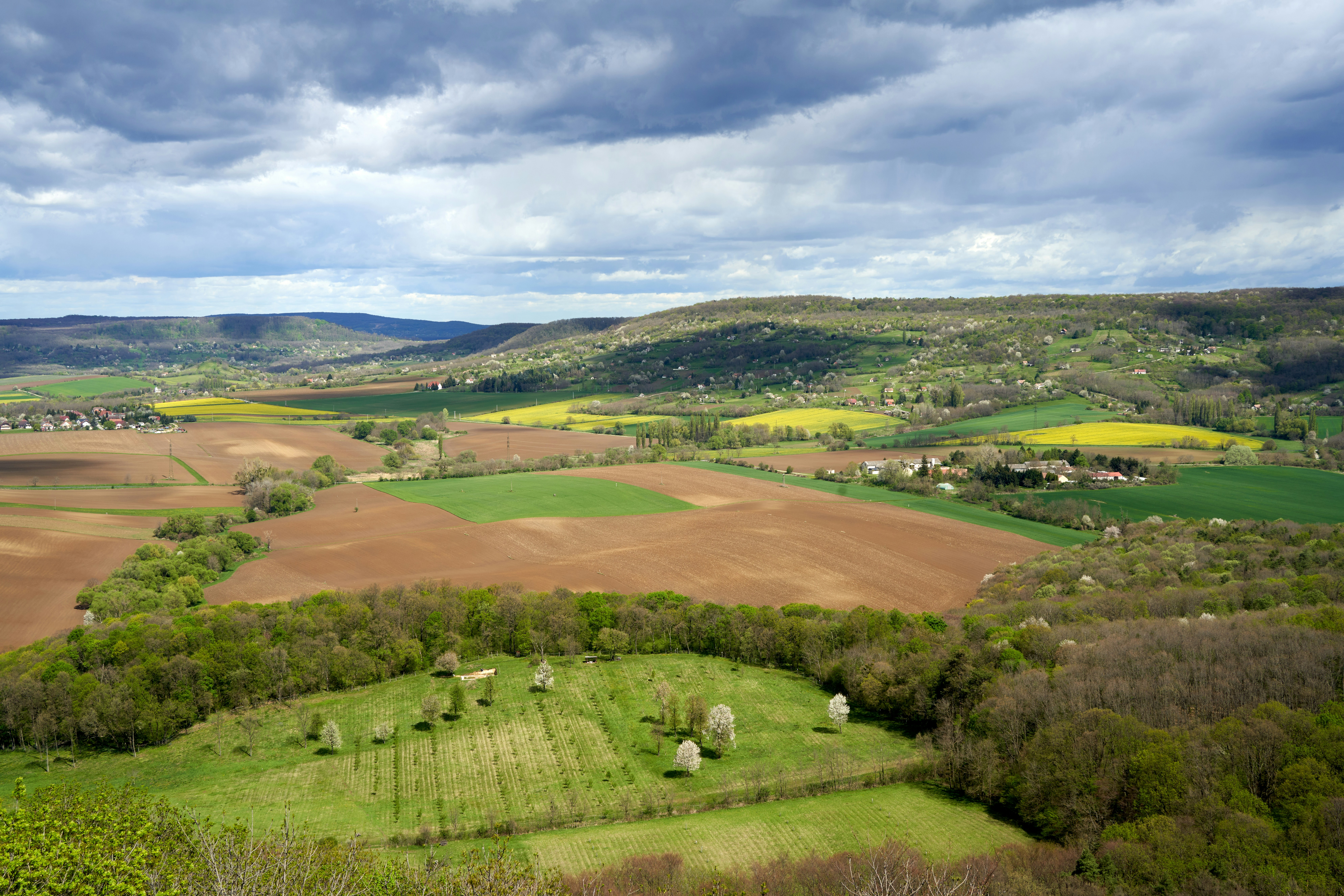 Photo by davotibarna