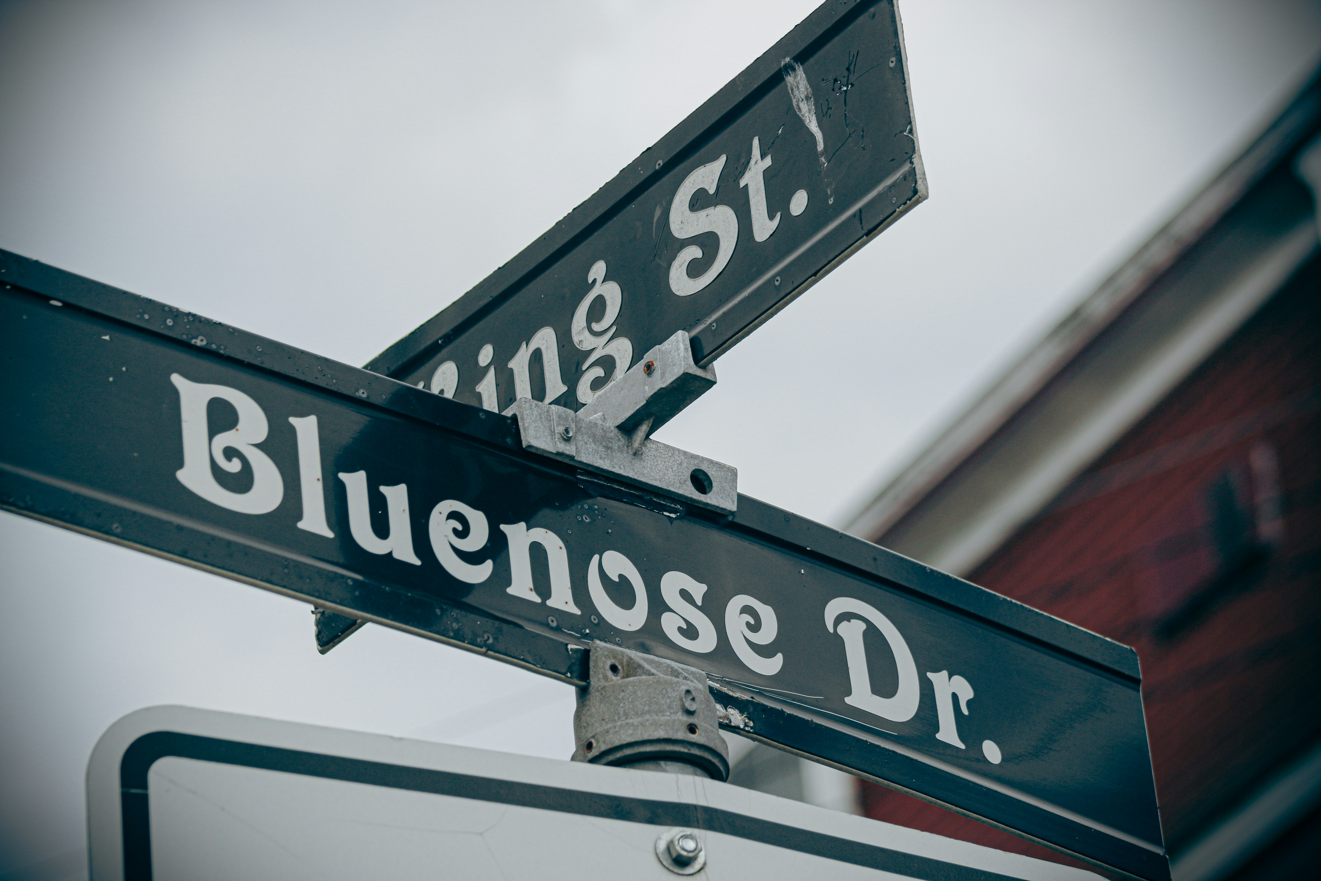 Boise’s Basque Block, USA - None