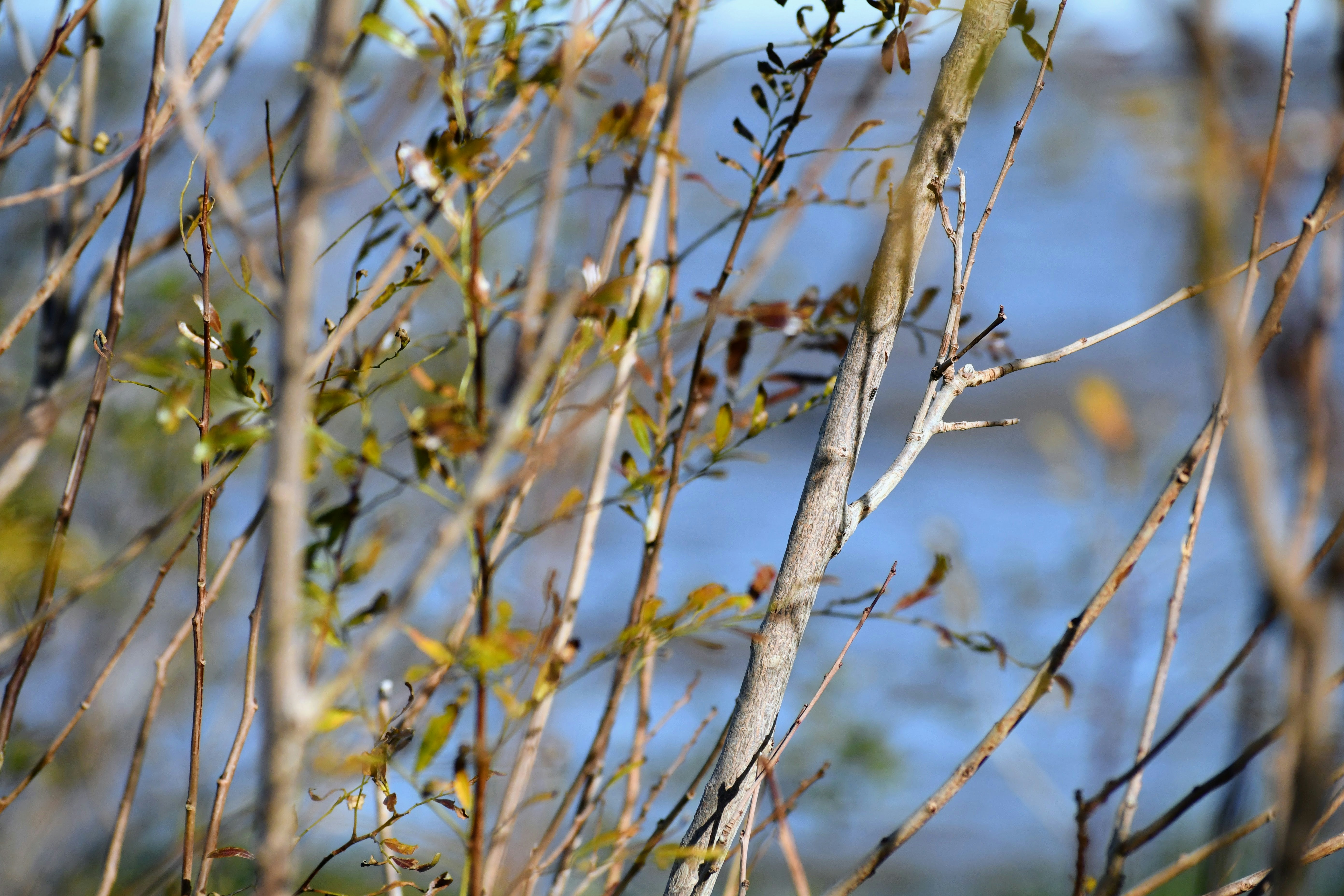 Photo by paul_colorado