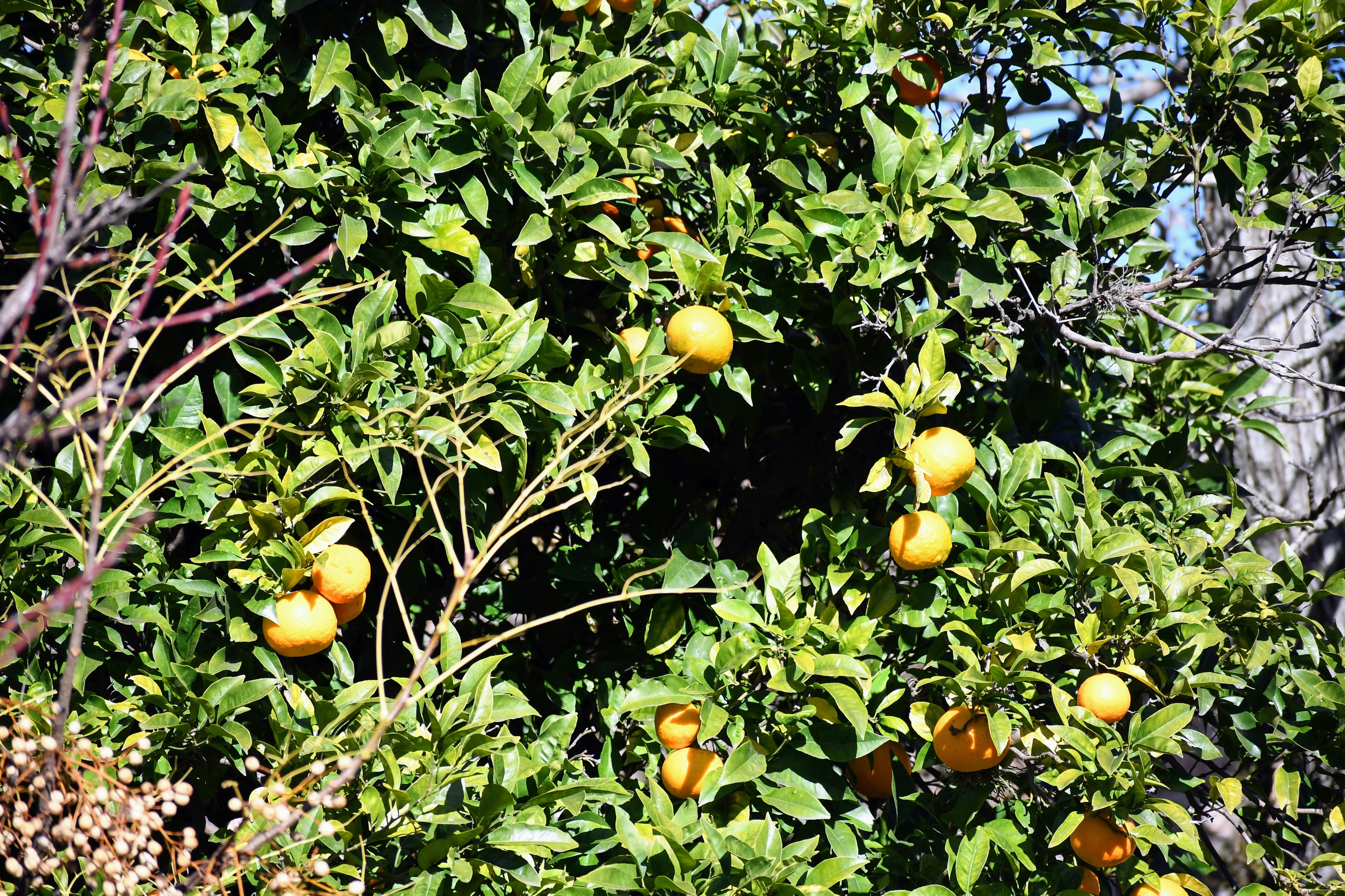 Photo by paul_colorado