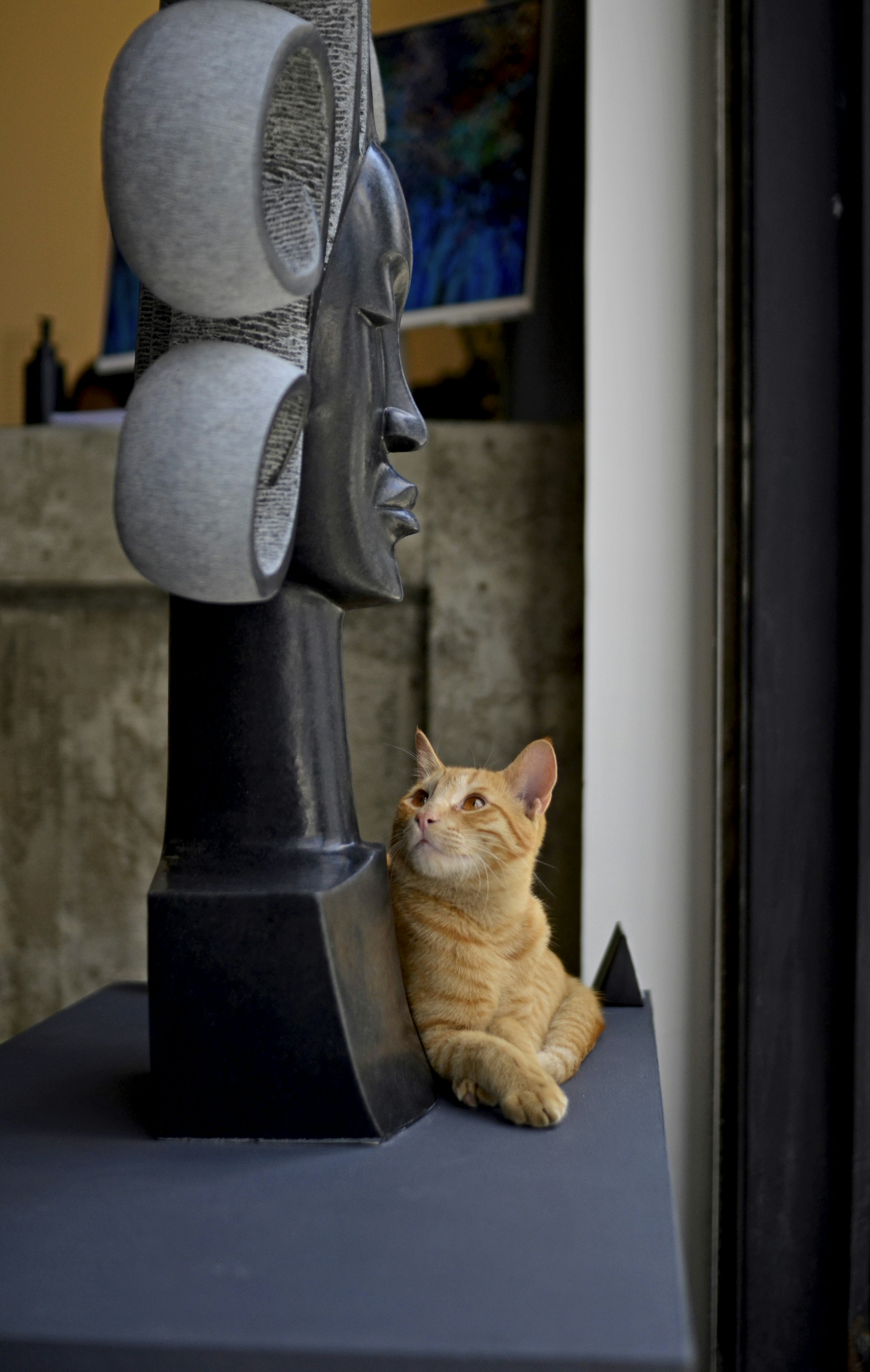 Un gato y una escultura.