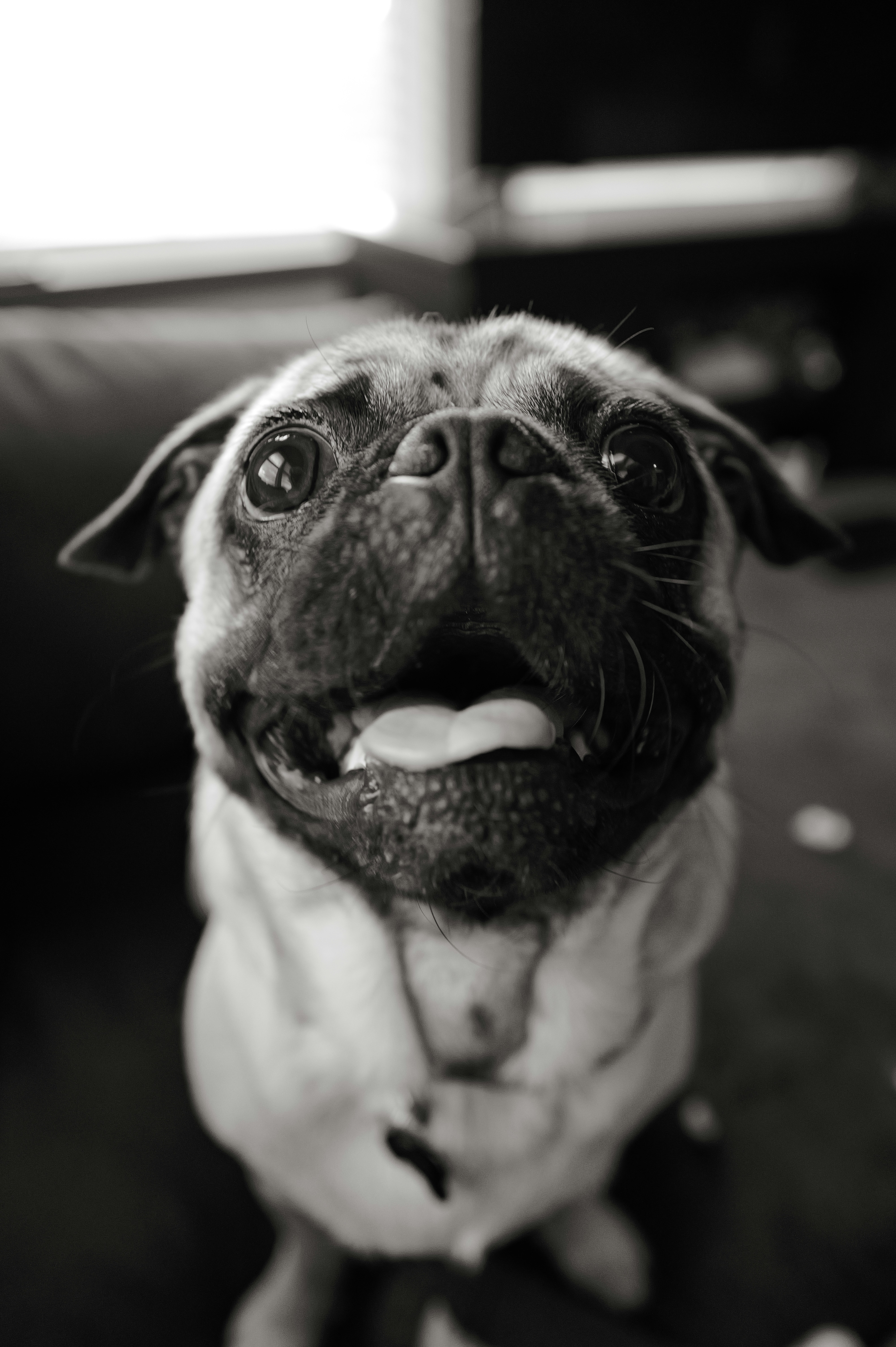 Photo by thephotochad