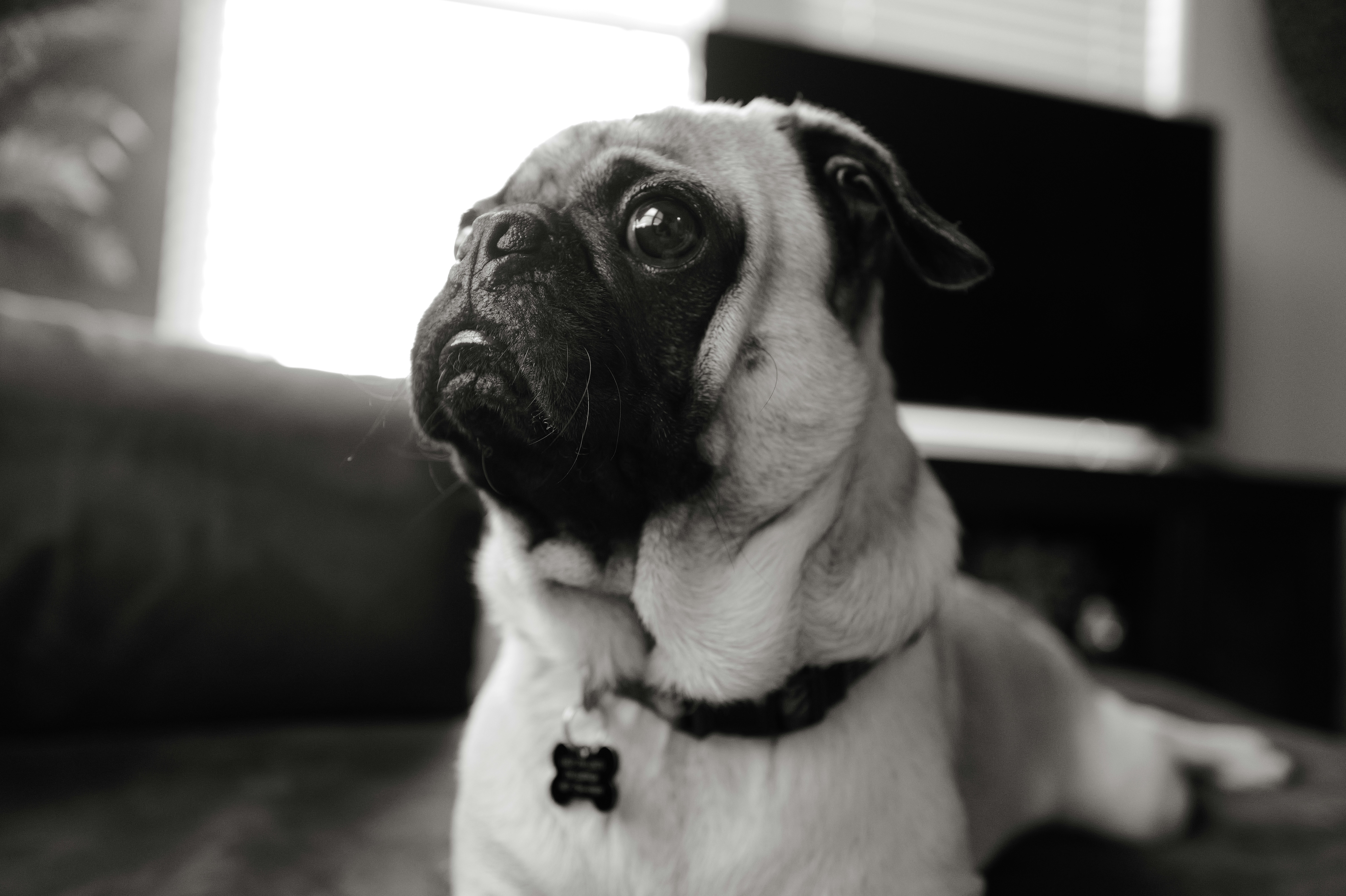 Photo by thephotochad