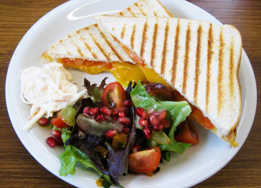 Grilled sandwich, salad, and coleslaw on a white plate.