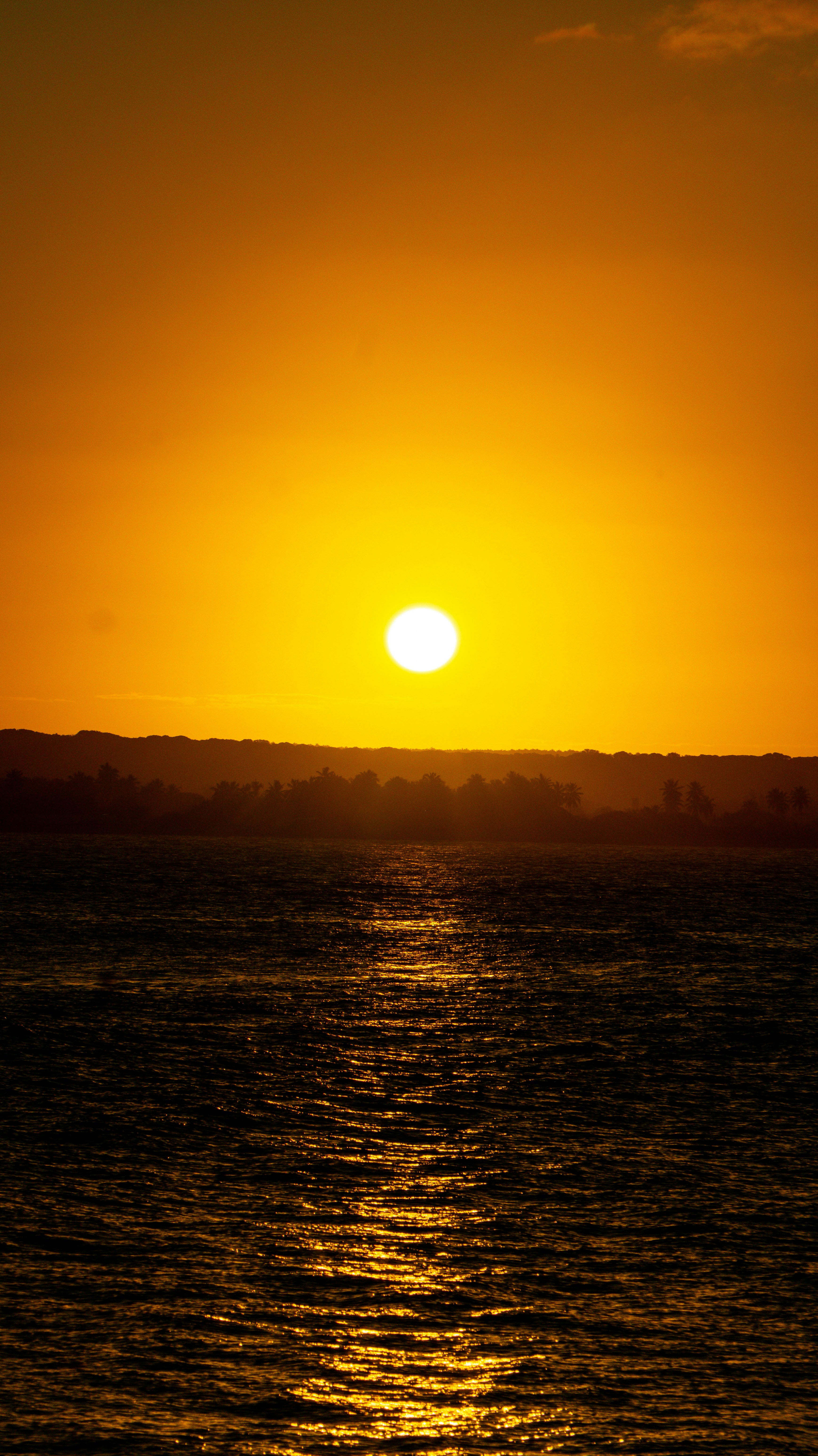 Photo by hugofabriicio