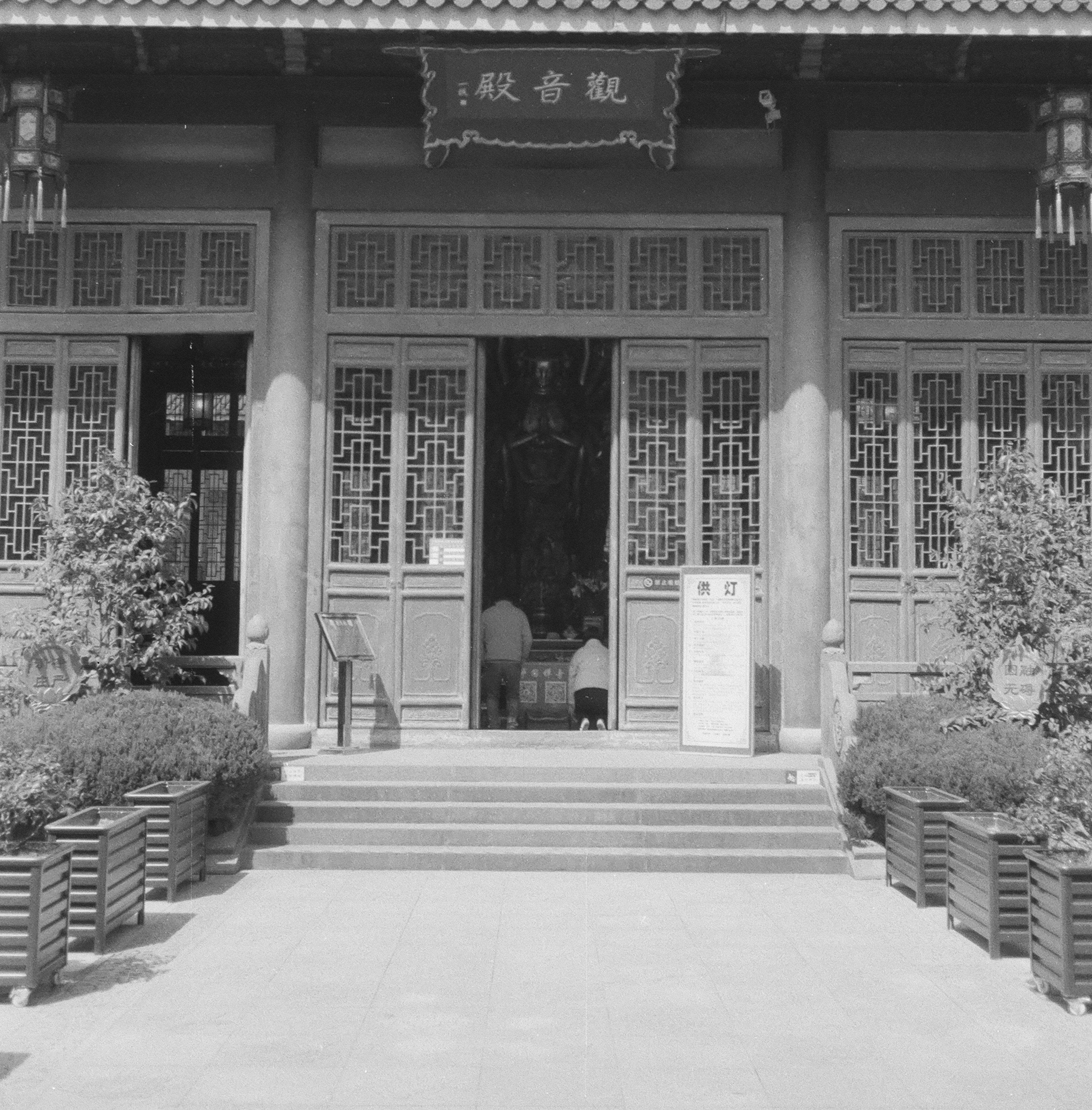 Photo by geraltyichen