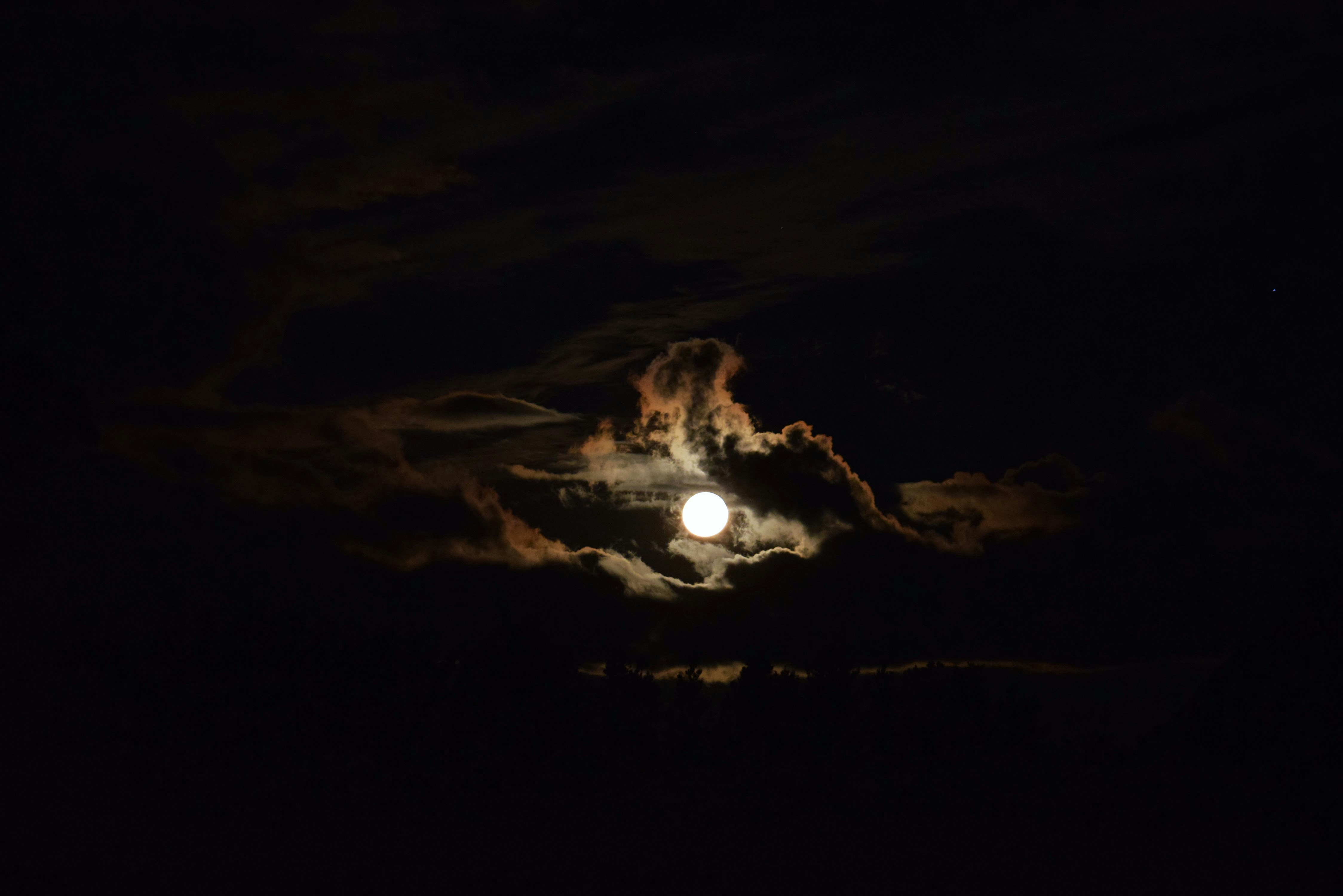 Photo by ch_photography