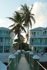 Palm trees stand between buildings near the sea.