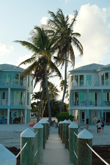 Palm trees stand between buildings near the sea.