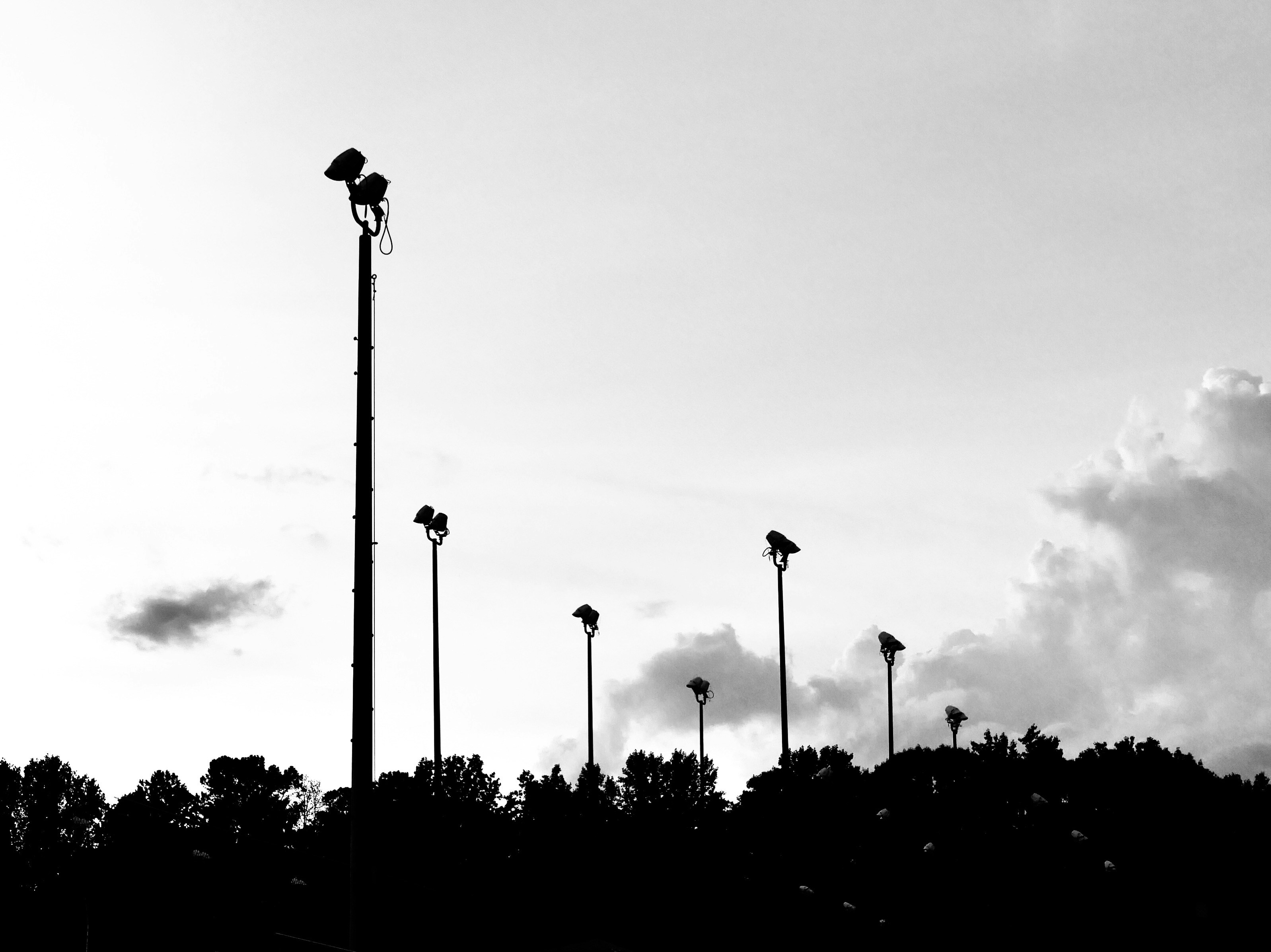 Photo by _zash_capturing