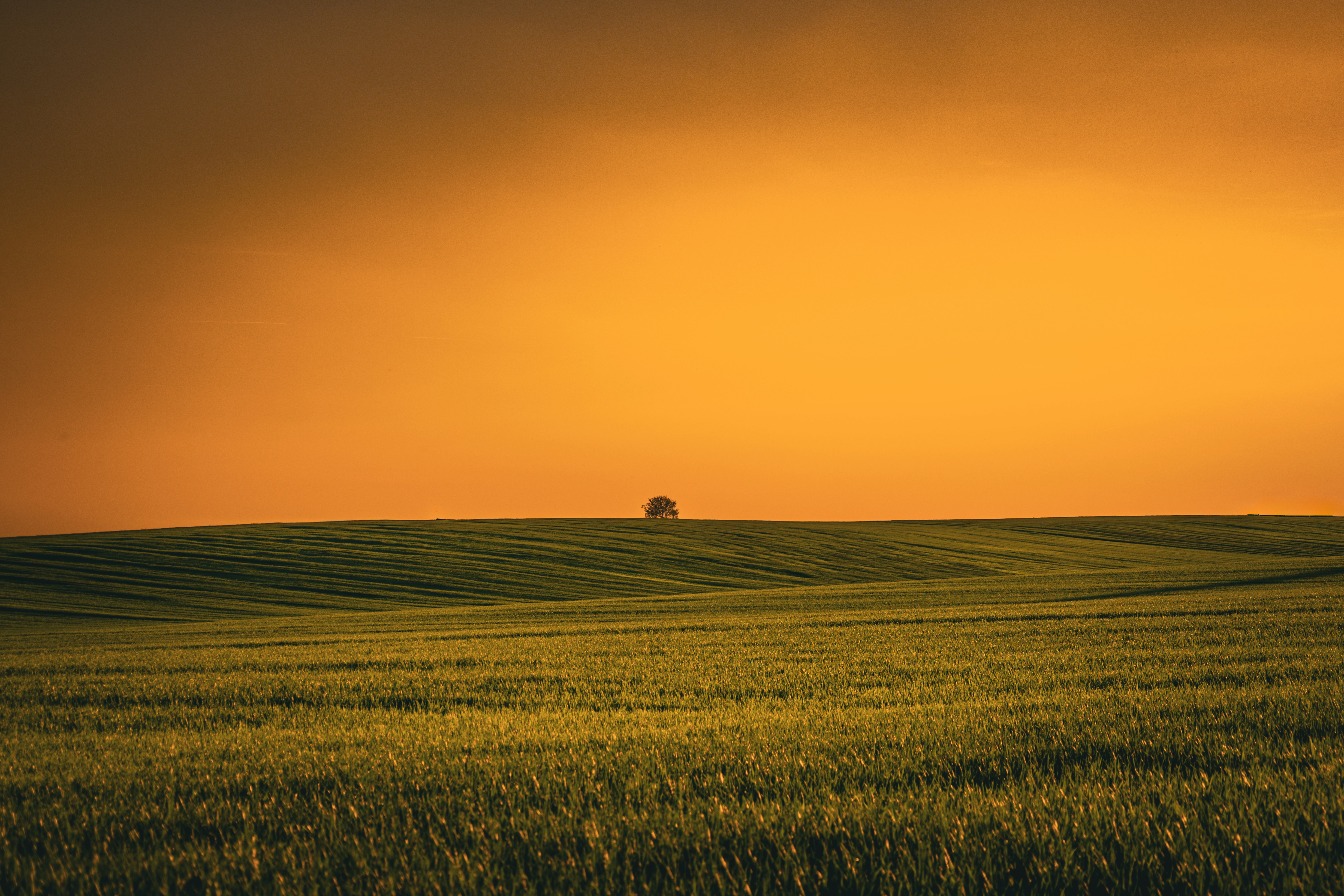 Photo by benedektiborczphotography