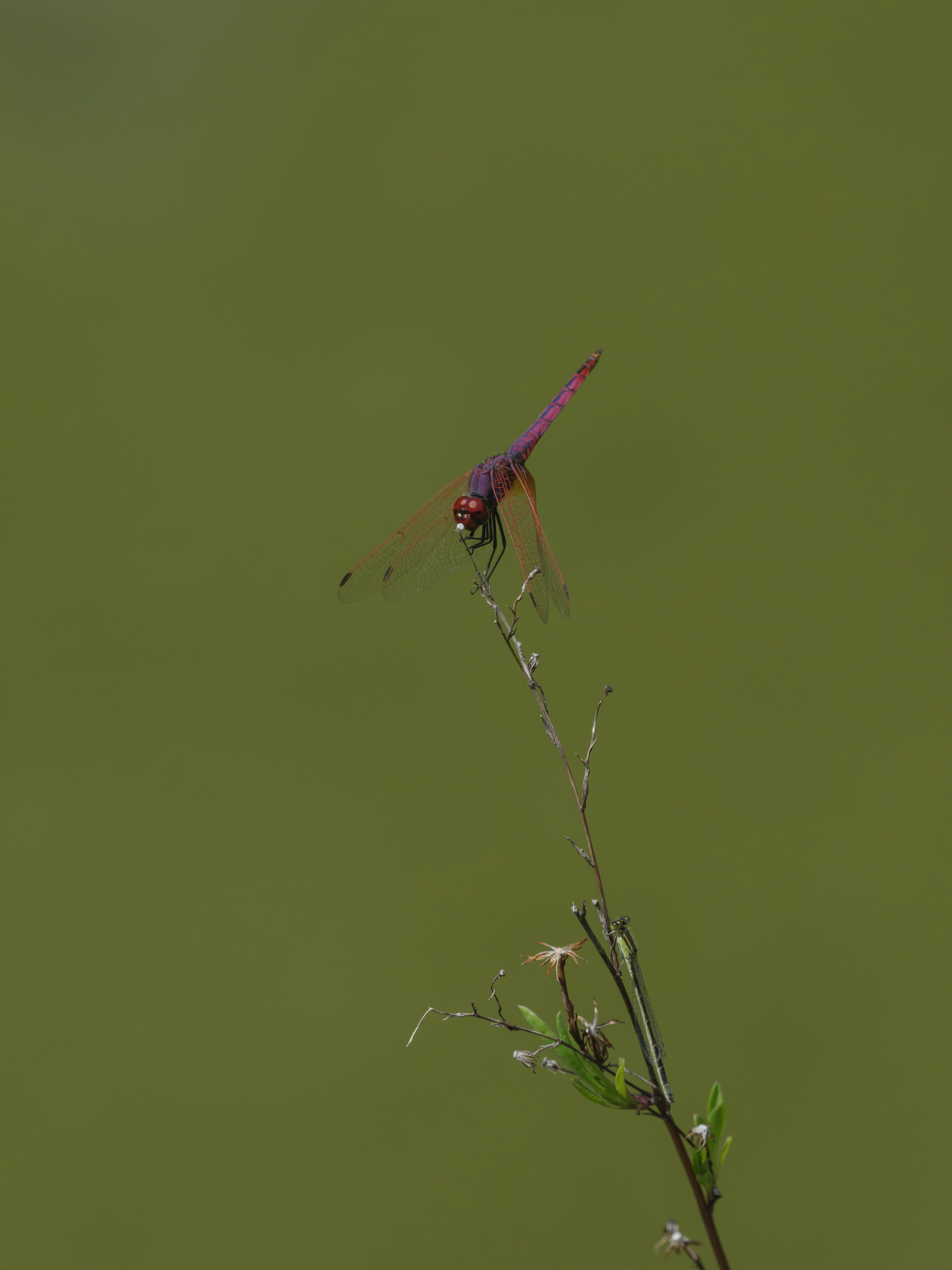 Photo by enginakyurt