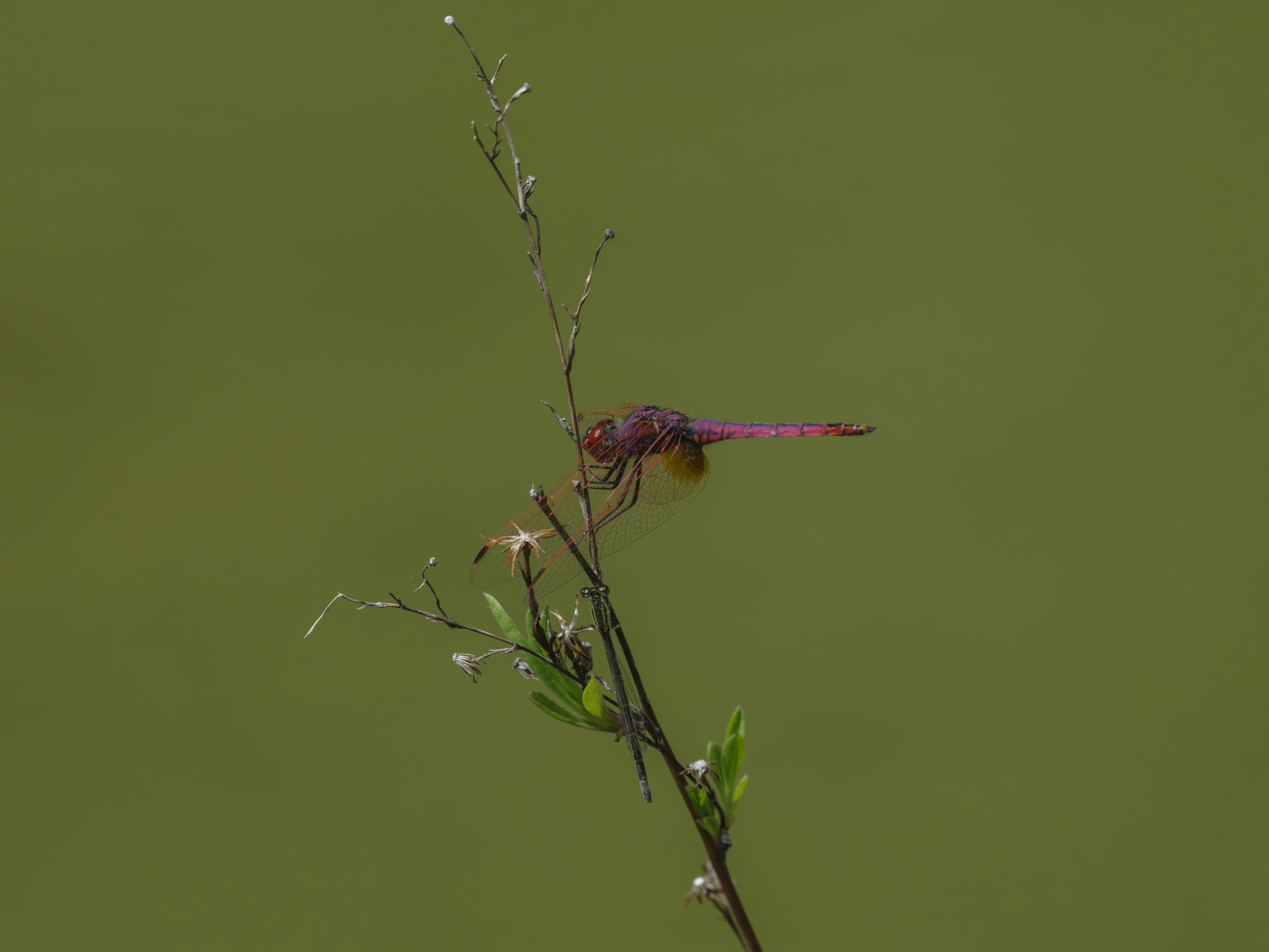 Photo by enginakyurt