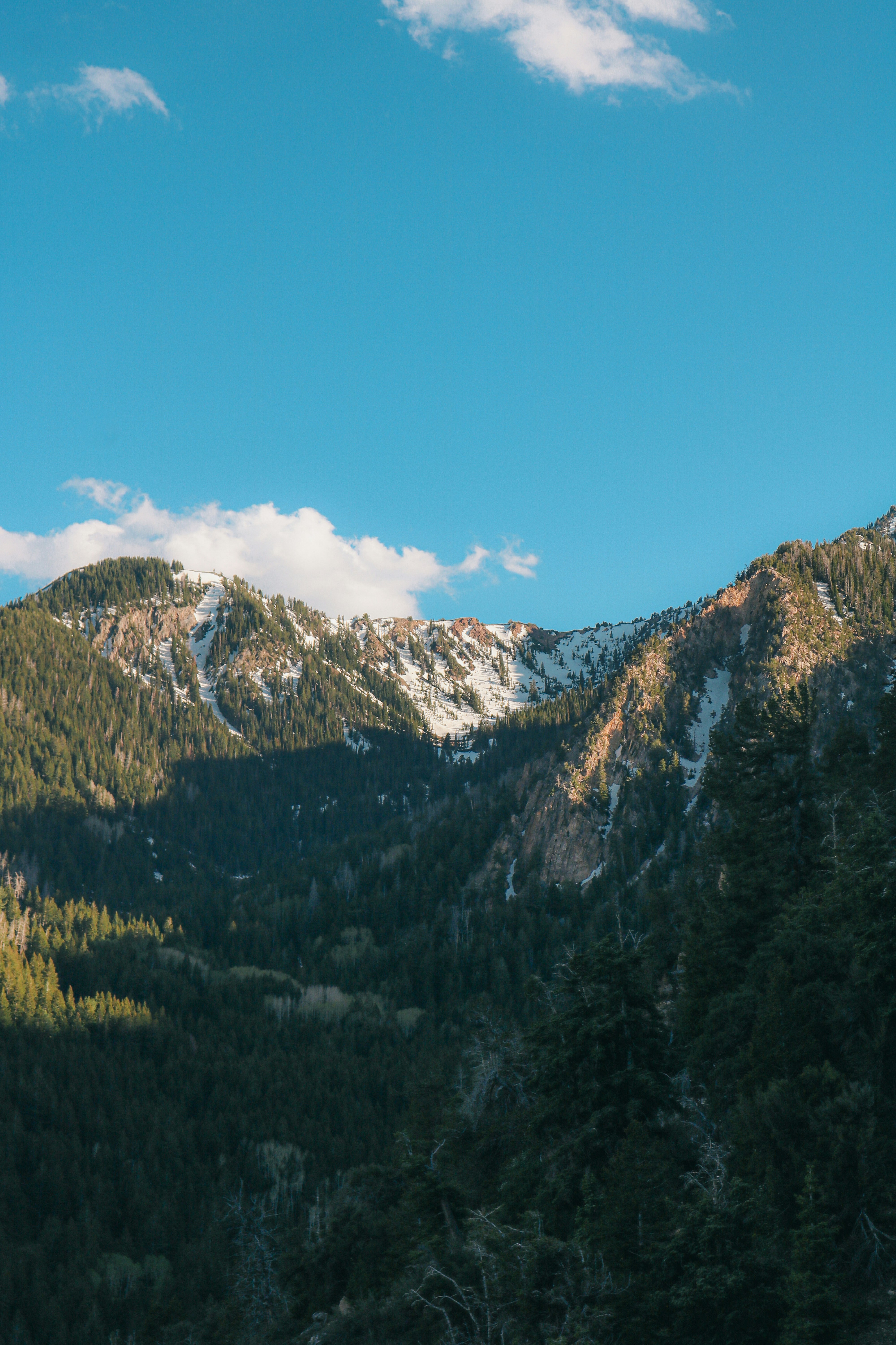 Photo by heberdavisphotography