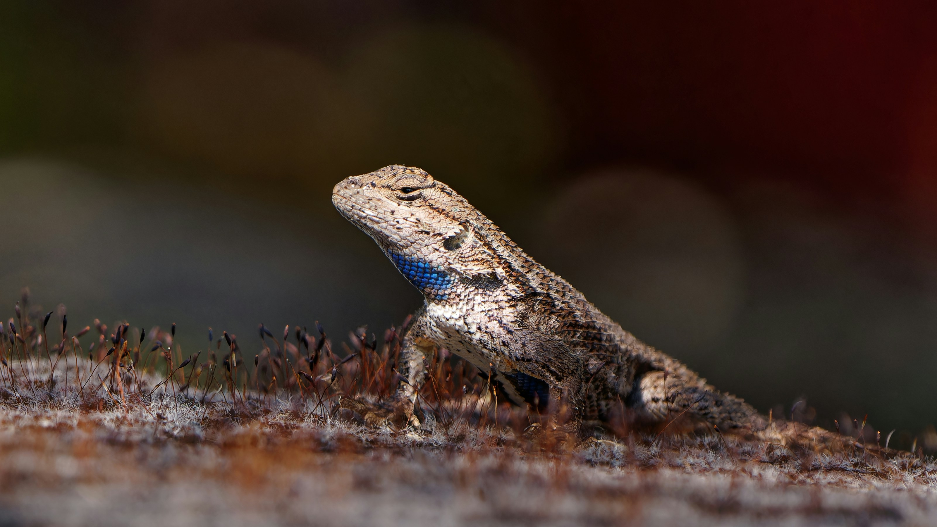 Photo by patrickbigelow_zoom_in