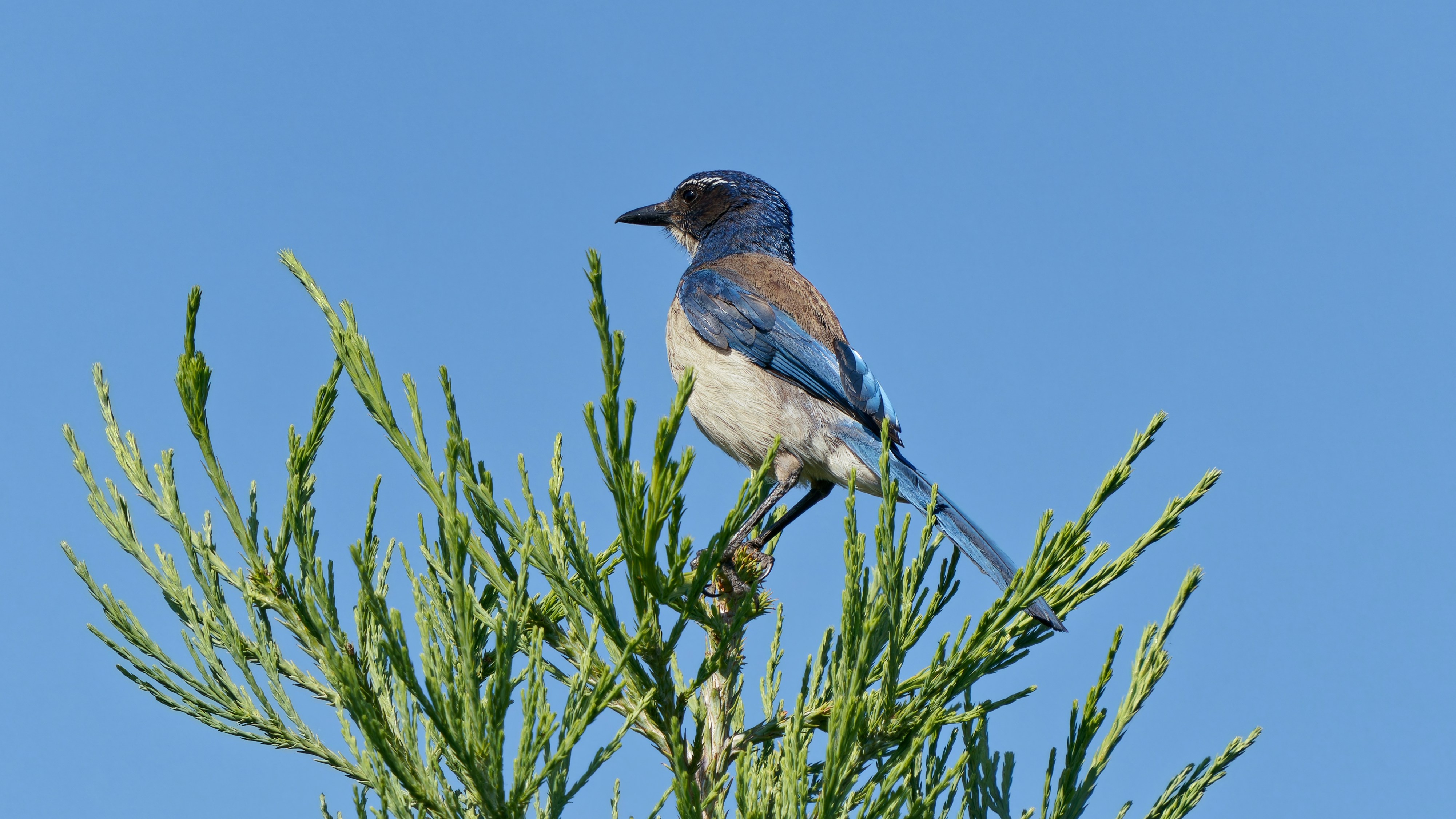 Photo by patrickbigelow_zoom_in