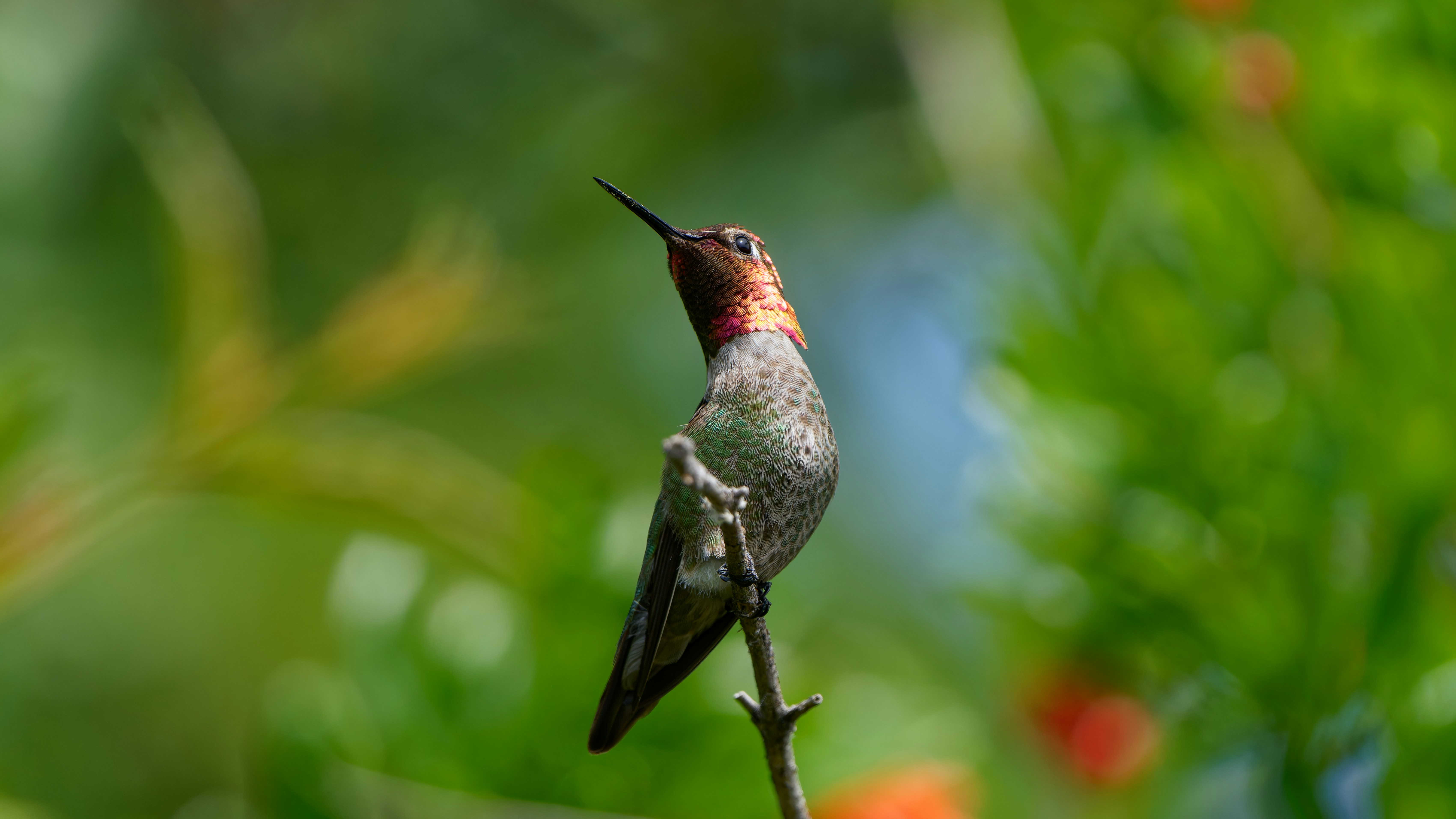 Photo by patrickbigelow_zoom_in