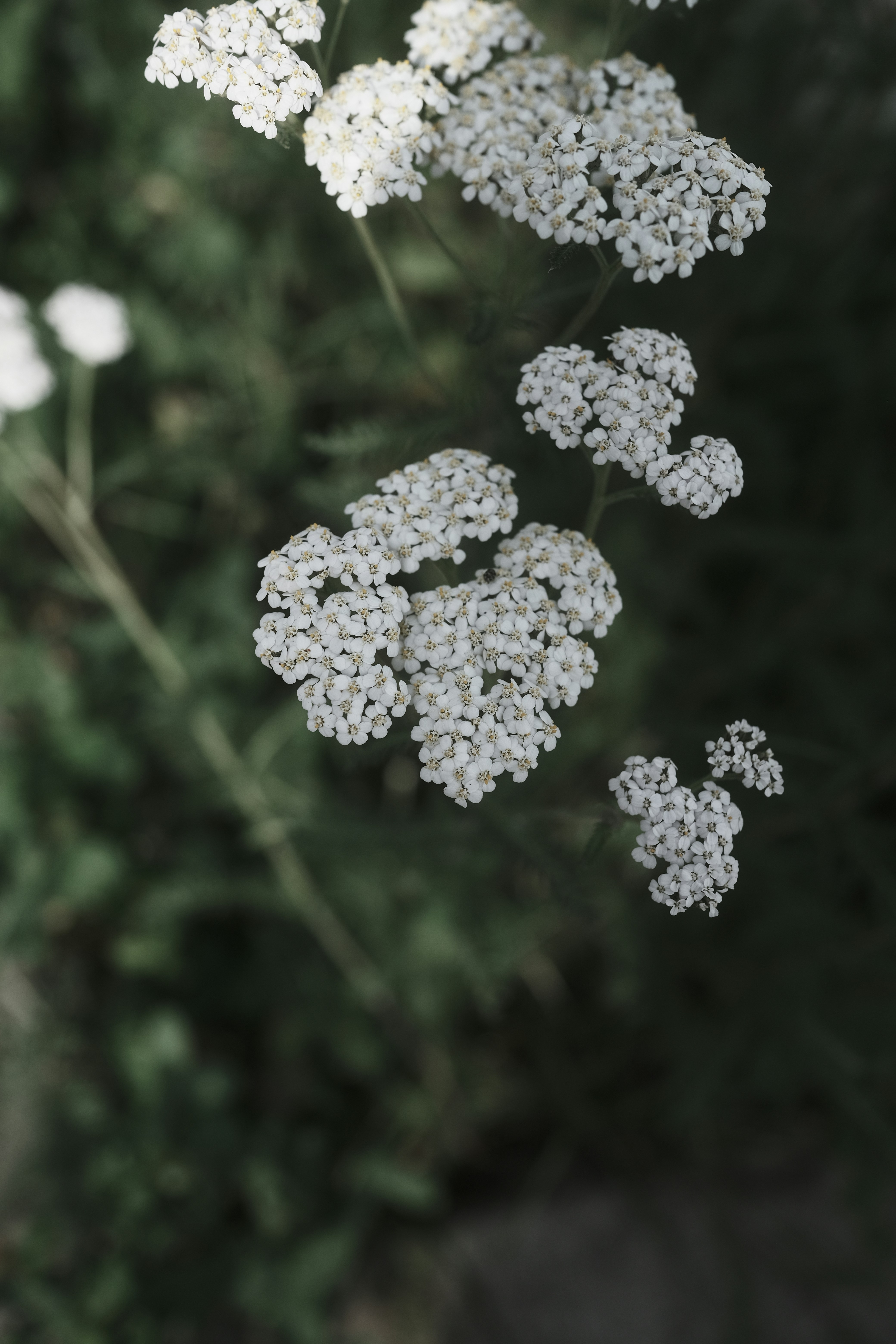 Photo by visualsbying