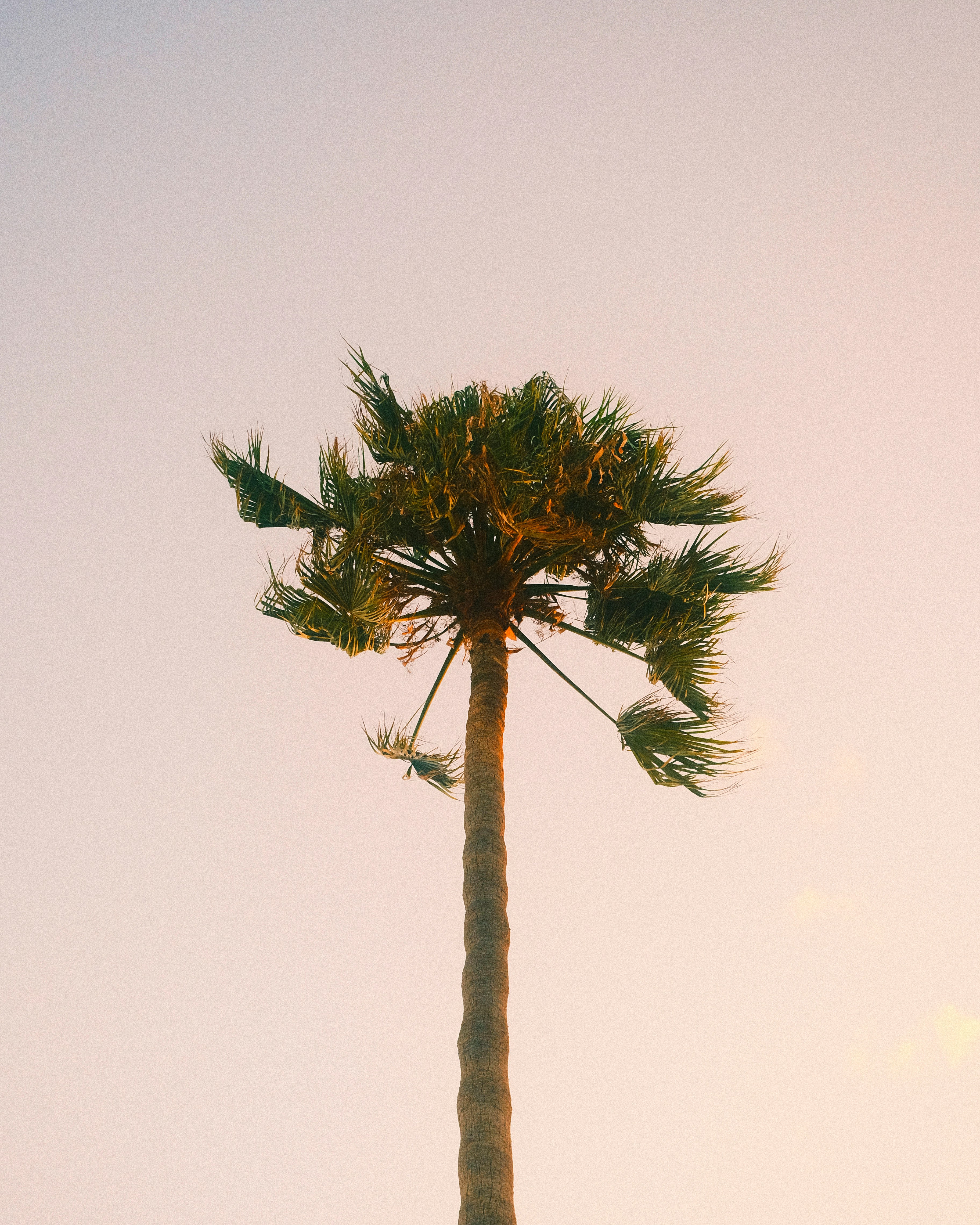 Photo by visualsbying