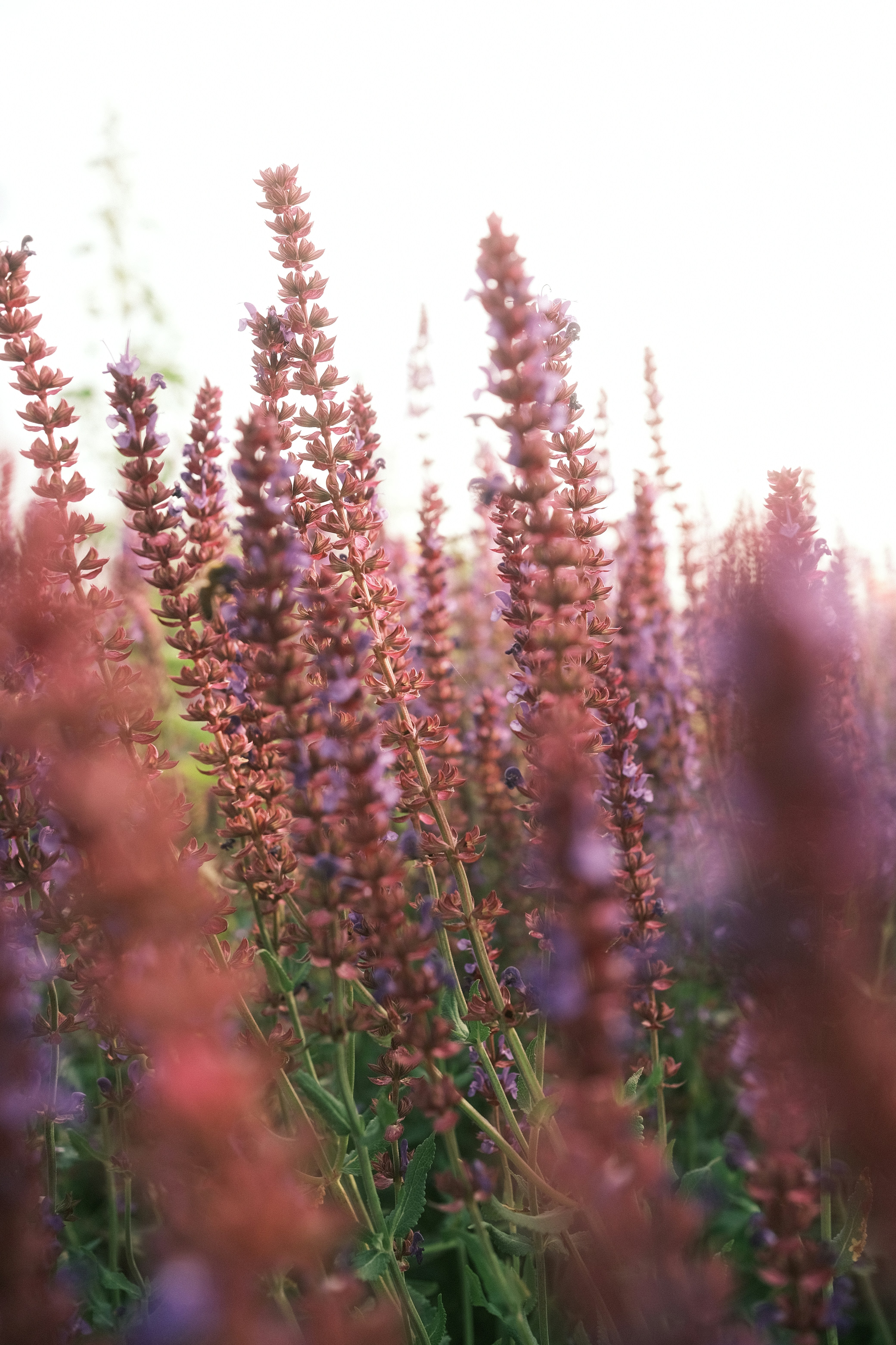 Photo by visualsbying