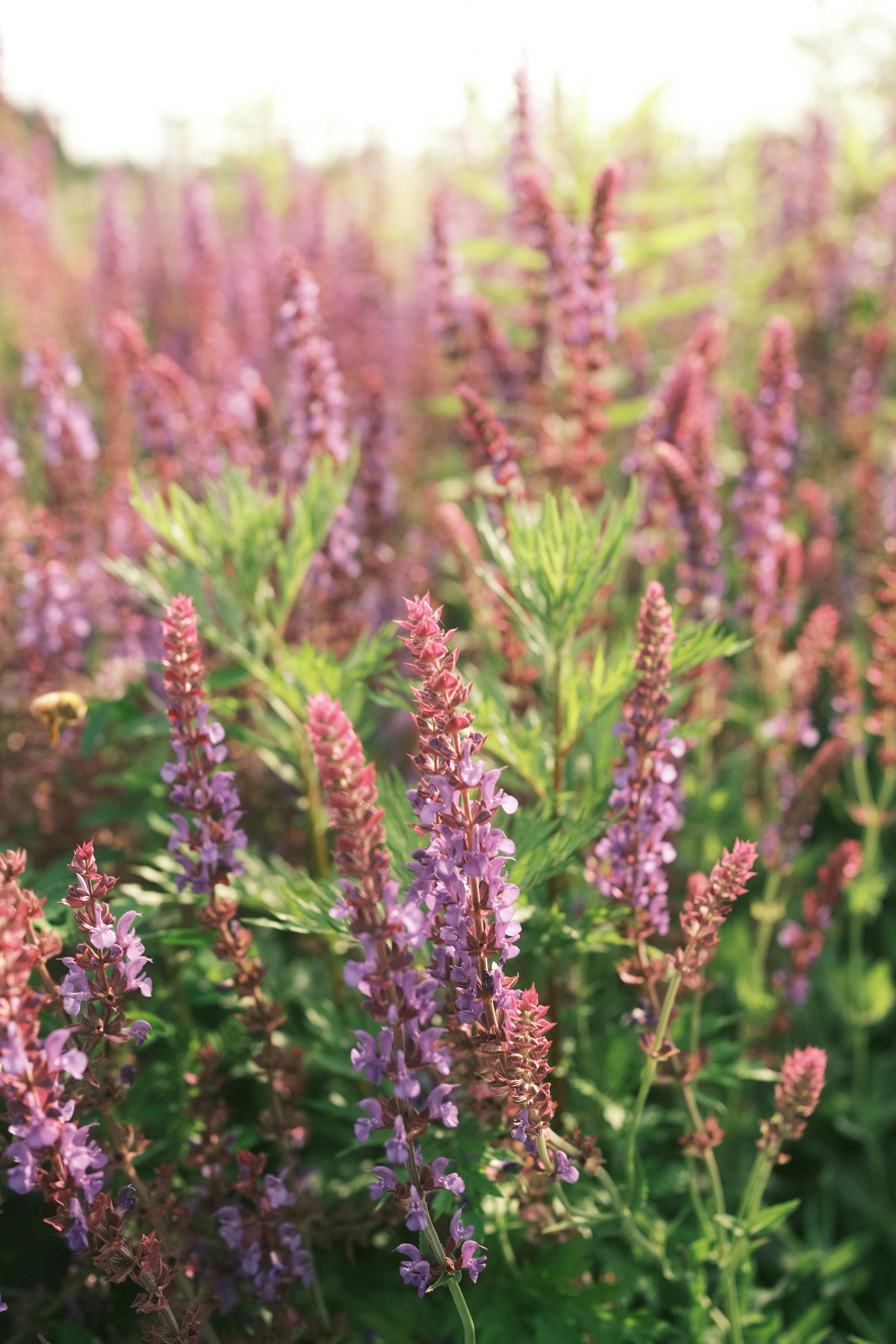 Photo by visualsbying