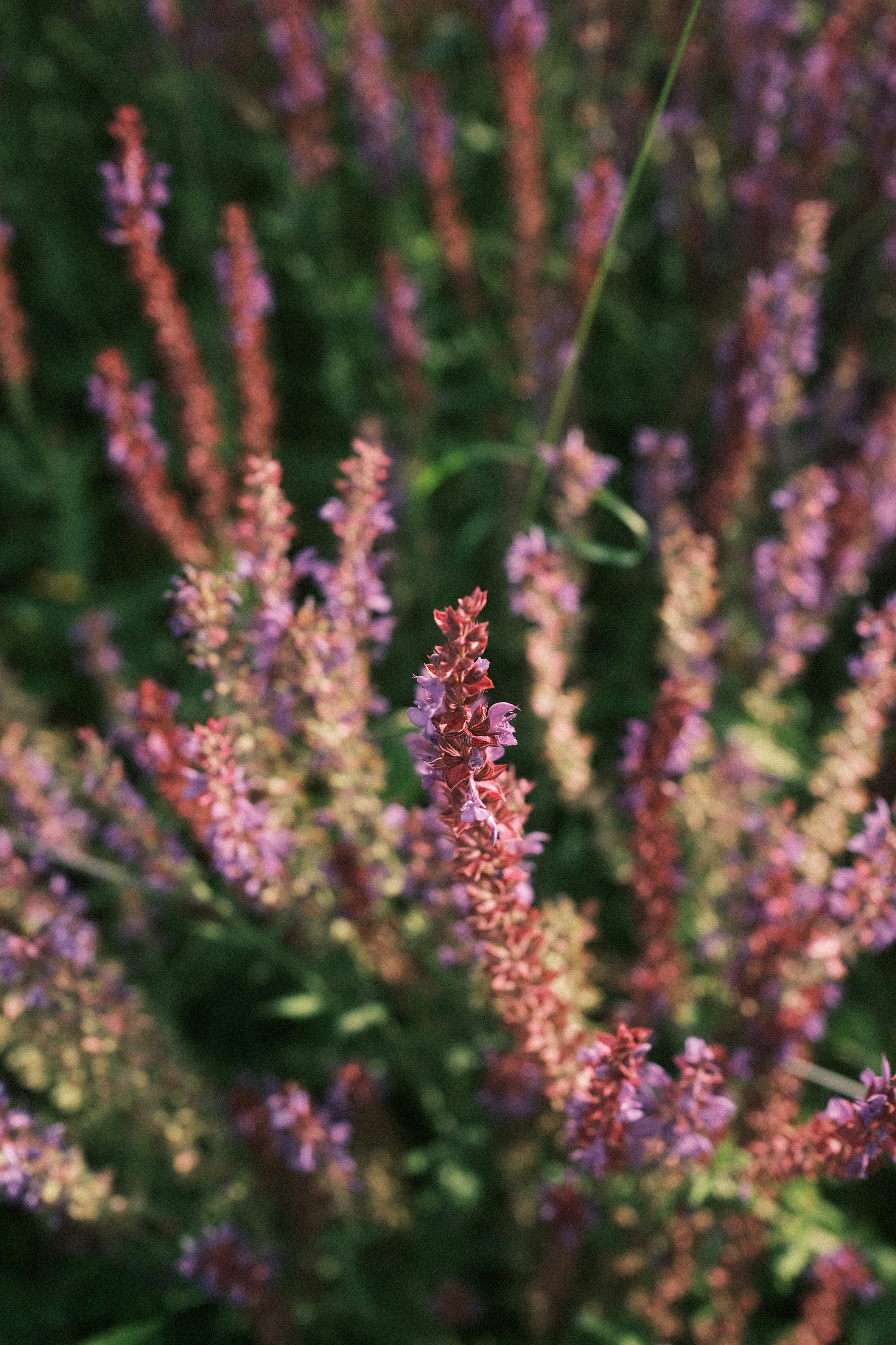 Photo by visualsbying