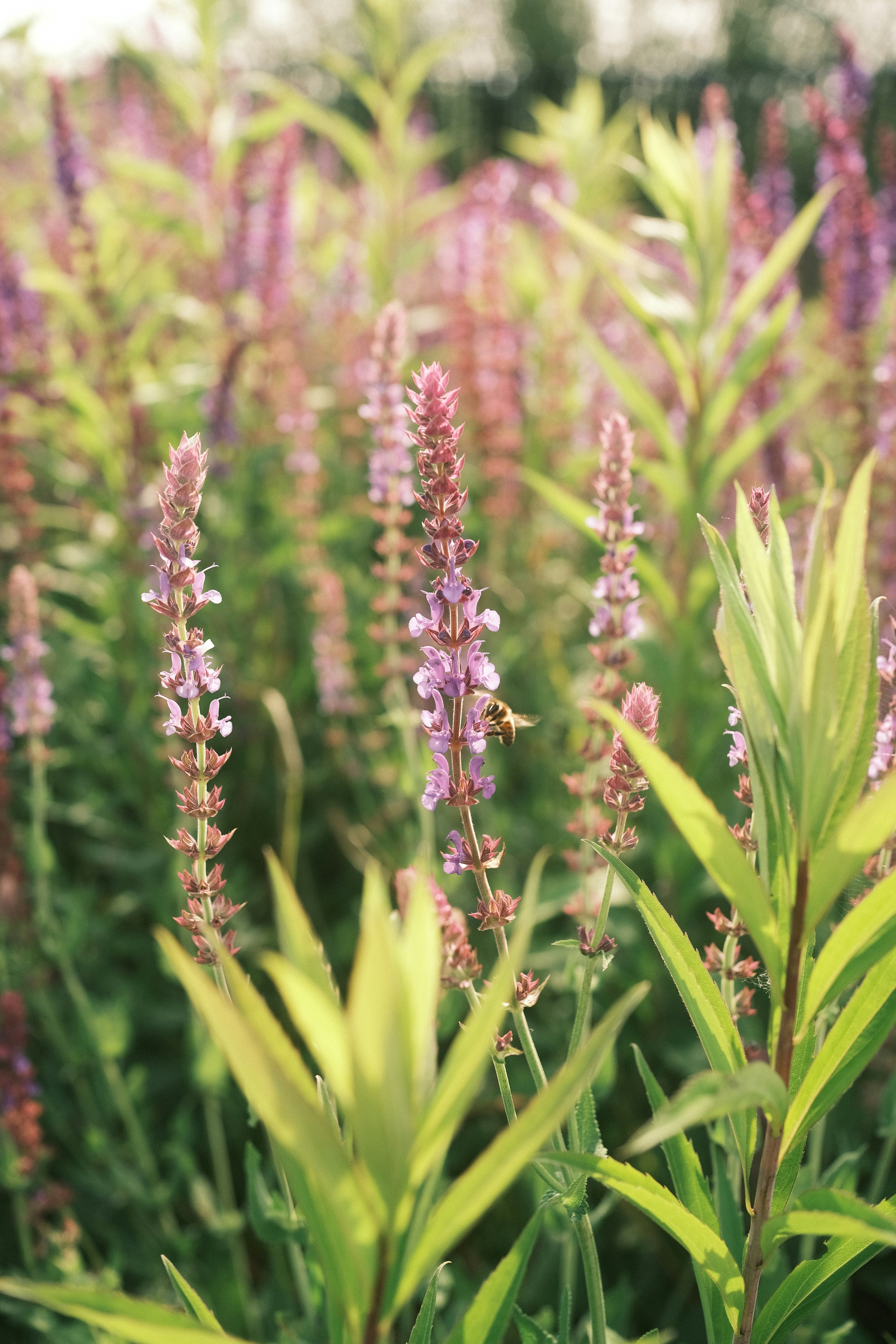 Photo by visualsbying