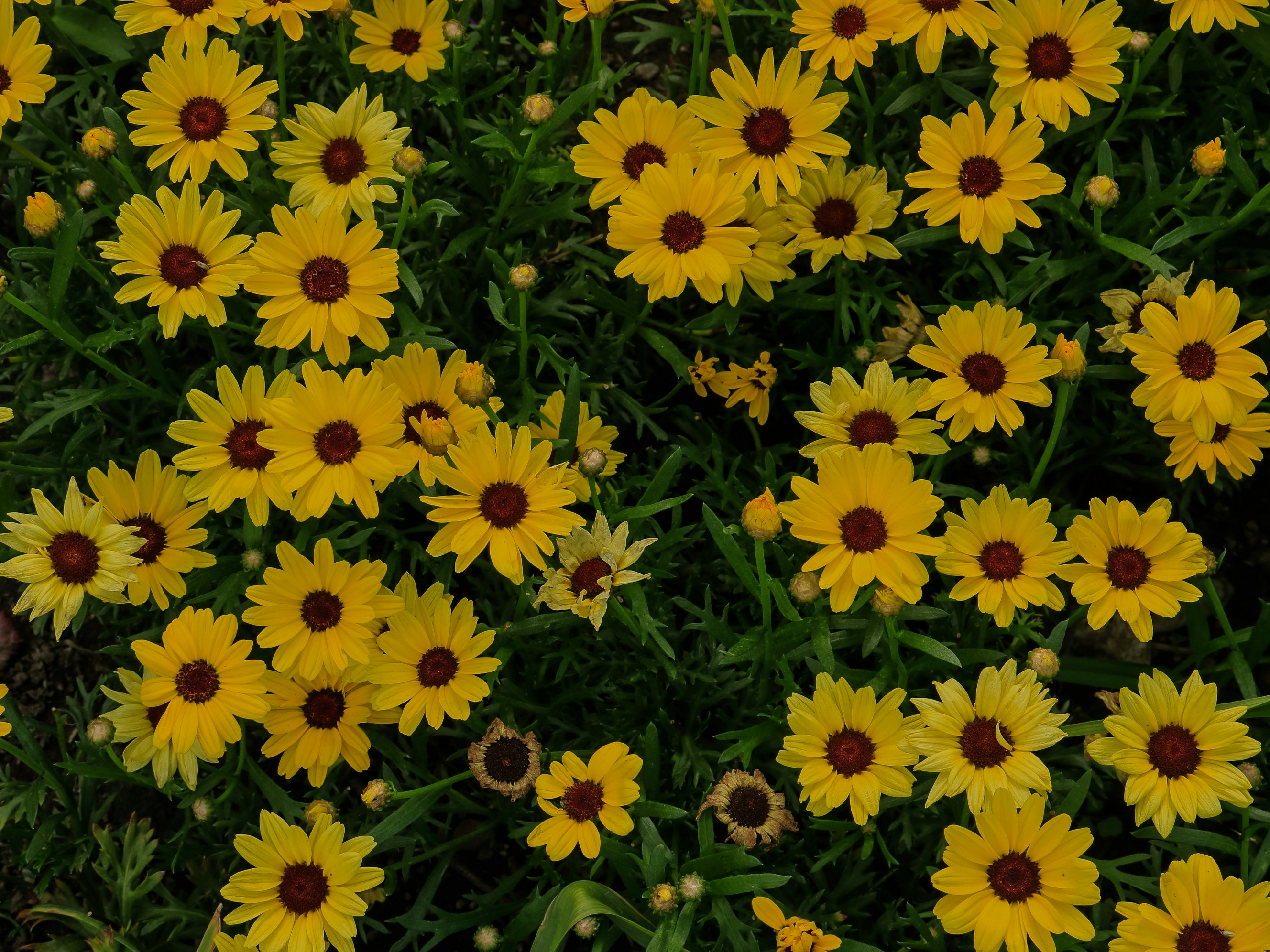 Photo by rithyacheng