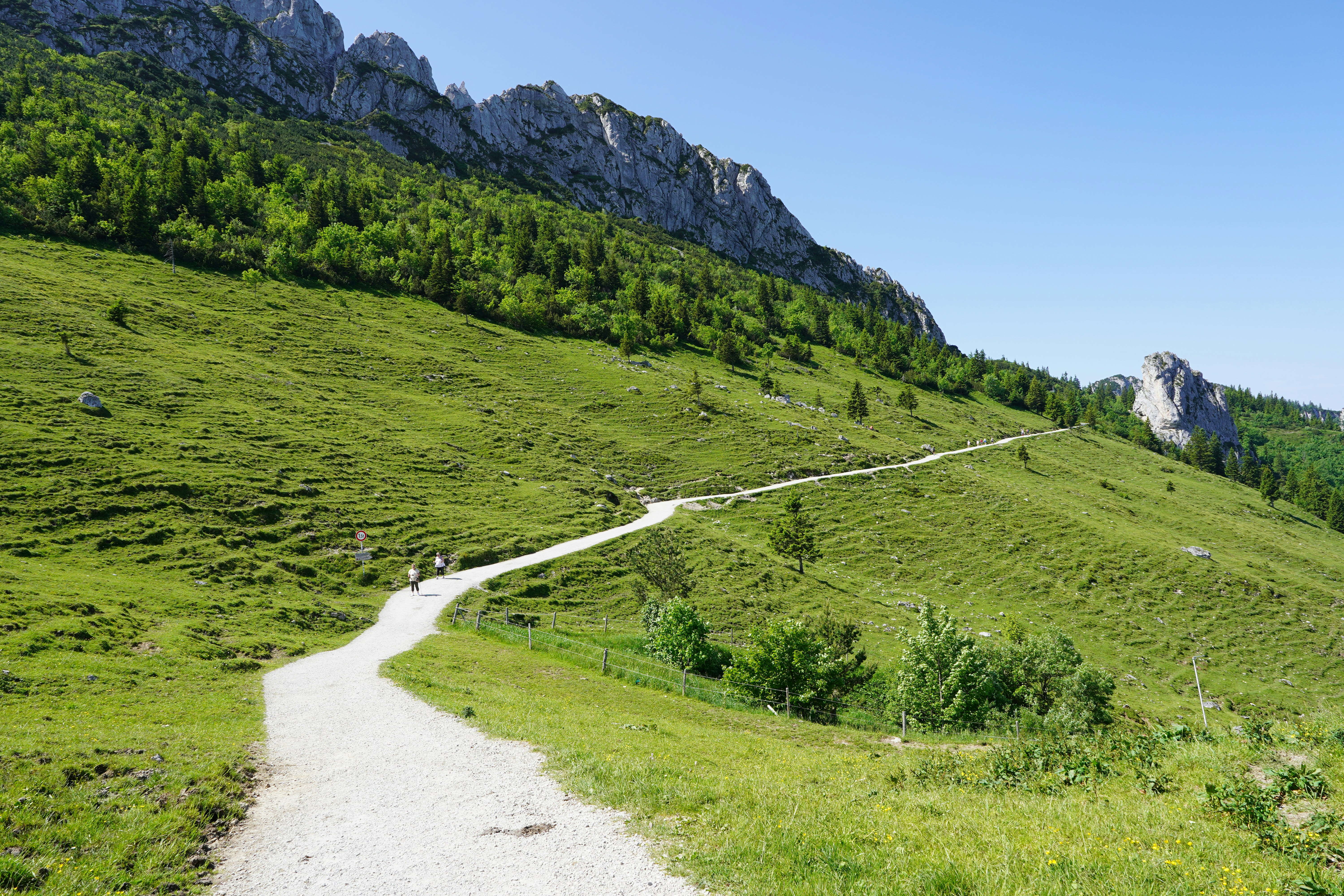 Photo by hamburgmeinefreundin