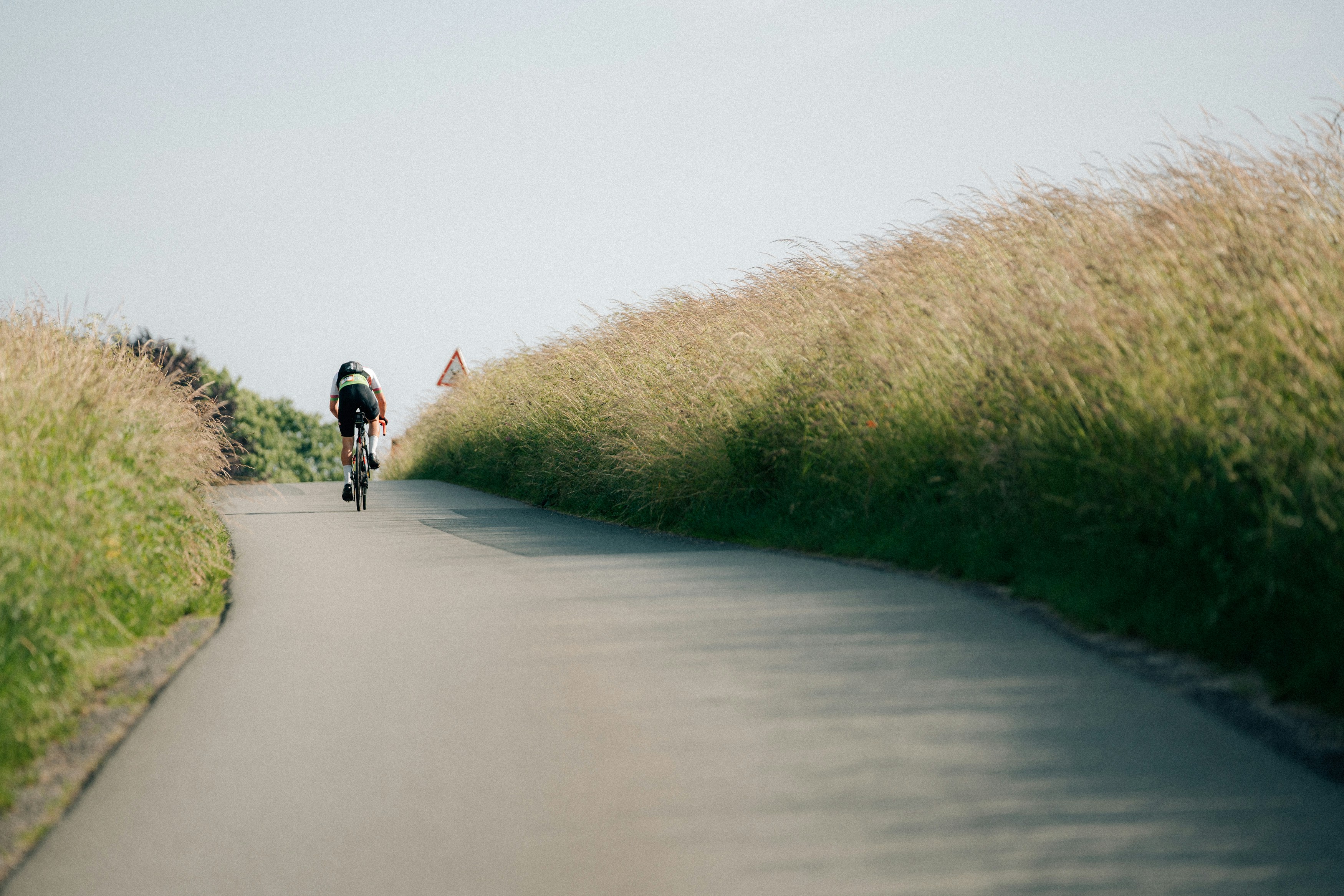 Cyclist rides down a road surrounded by tall grass.